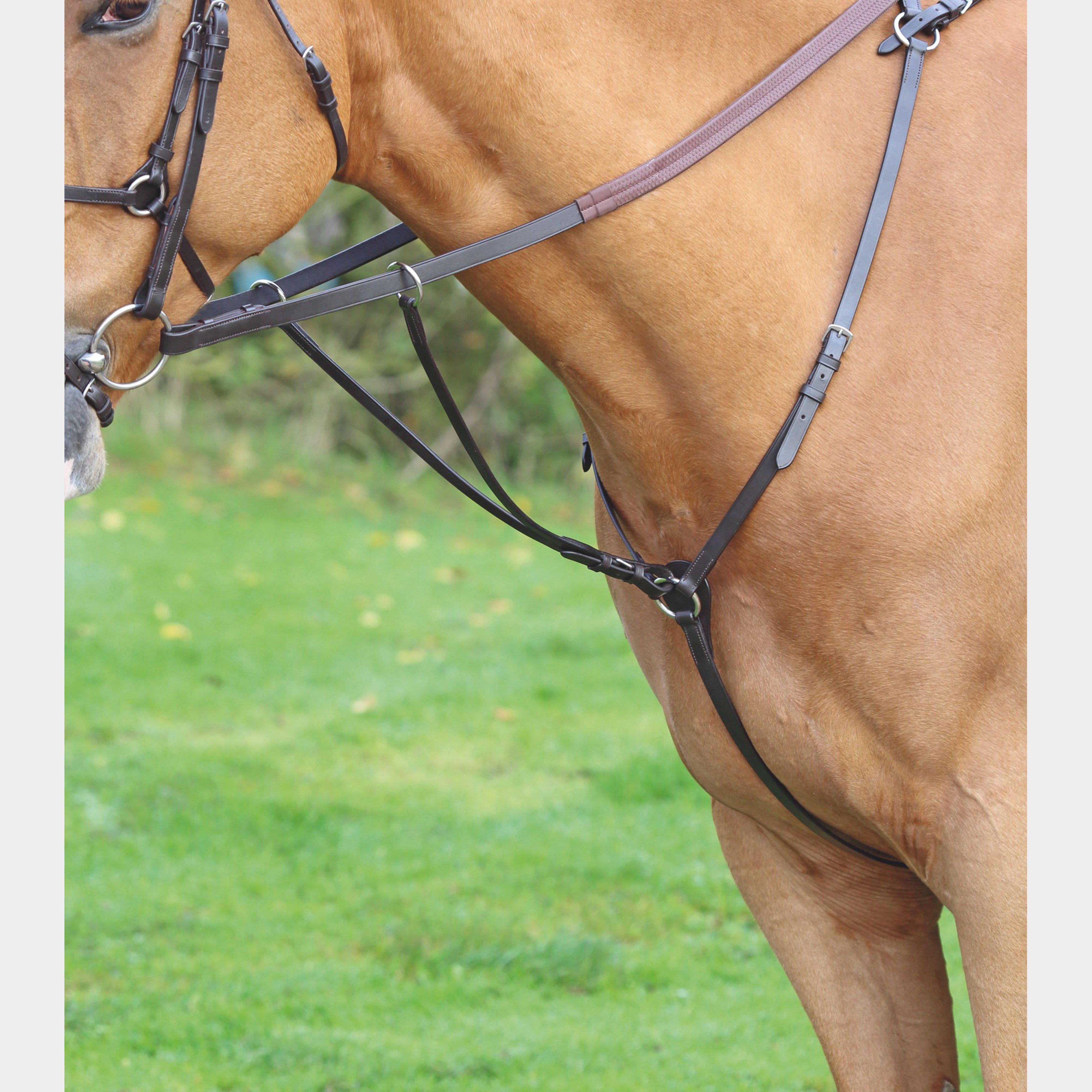 GARA Hunt Weight Breastplate Havana