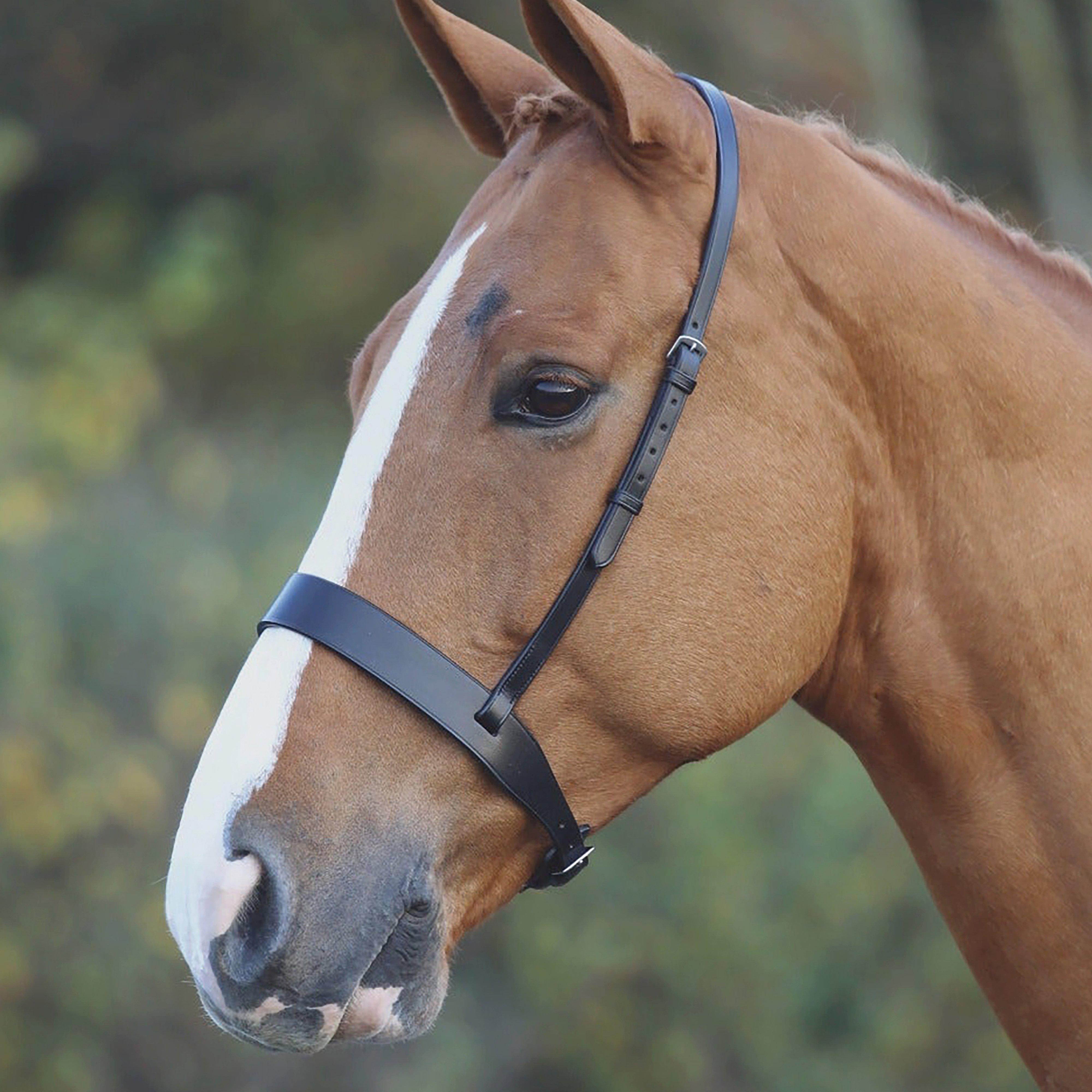 GARA Cavesson Hunt Noseband Black