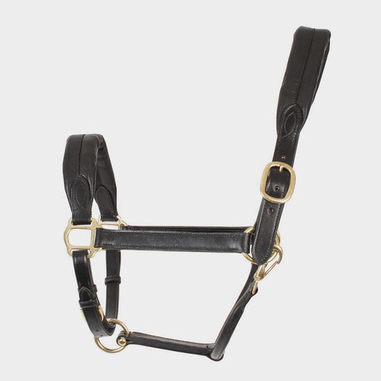 Cushioned Travel Headcollar Black