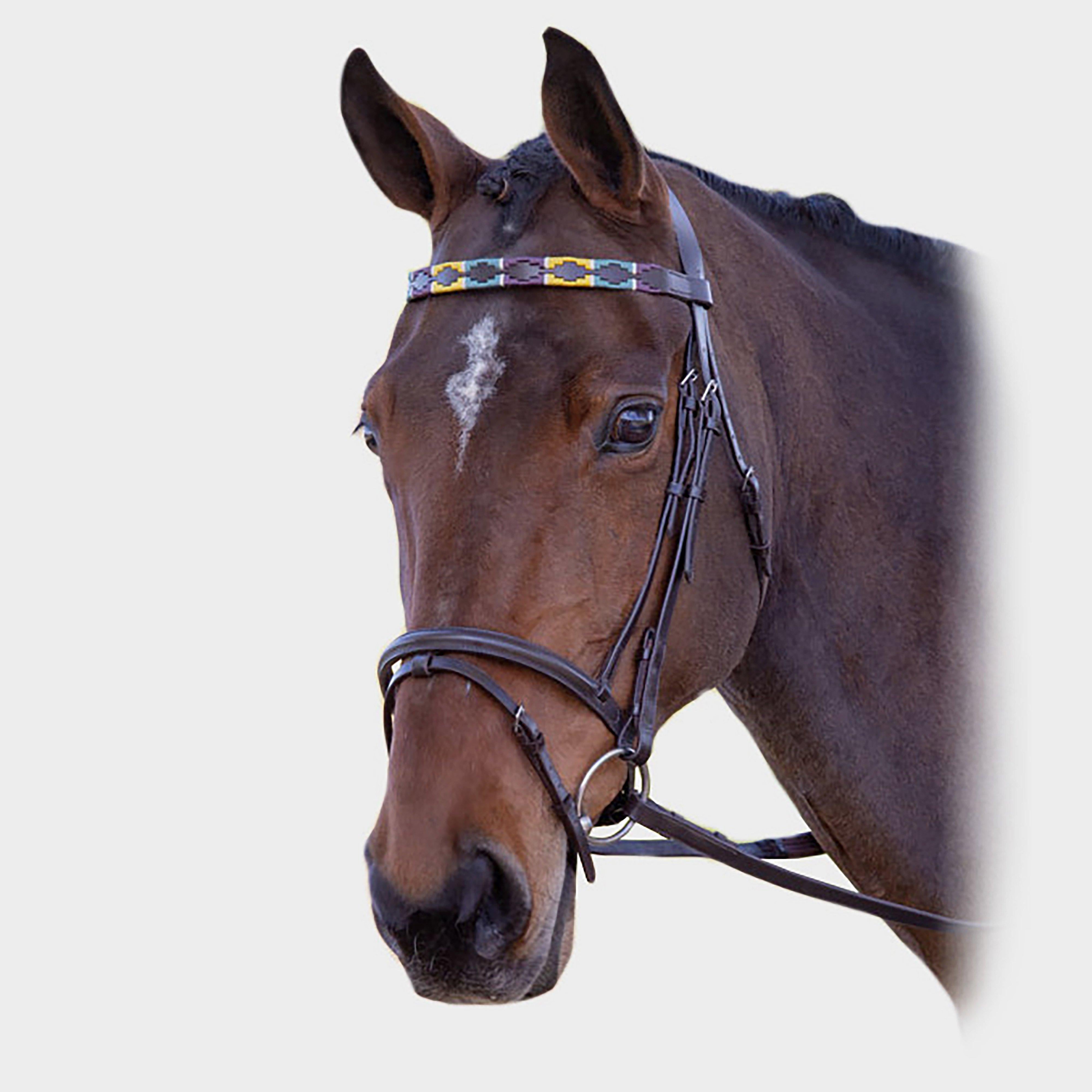 GARA Leather Polo Browband Purple/Dark Green/Yellow