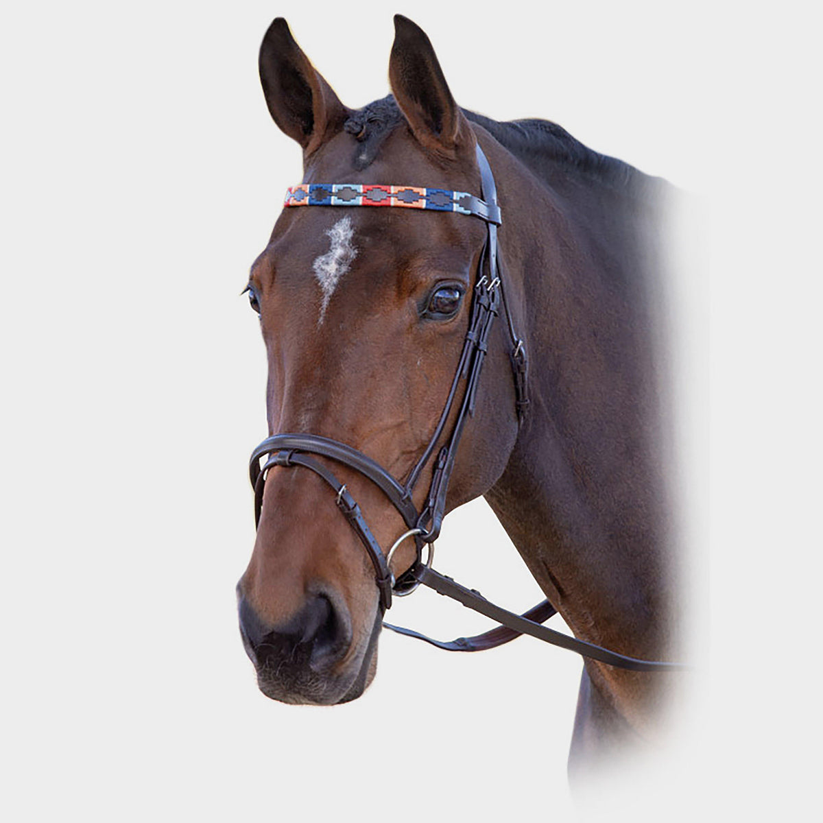 GARA Leather Polo Browband Turquoise/Red/Orange/Blue