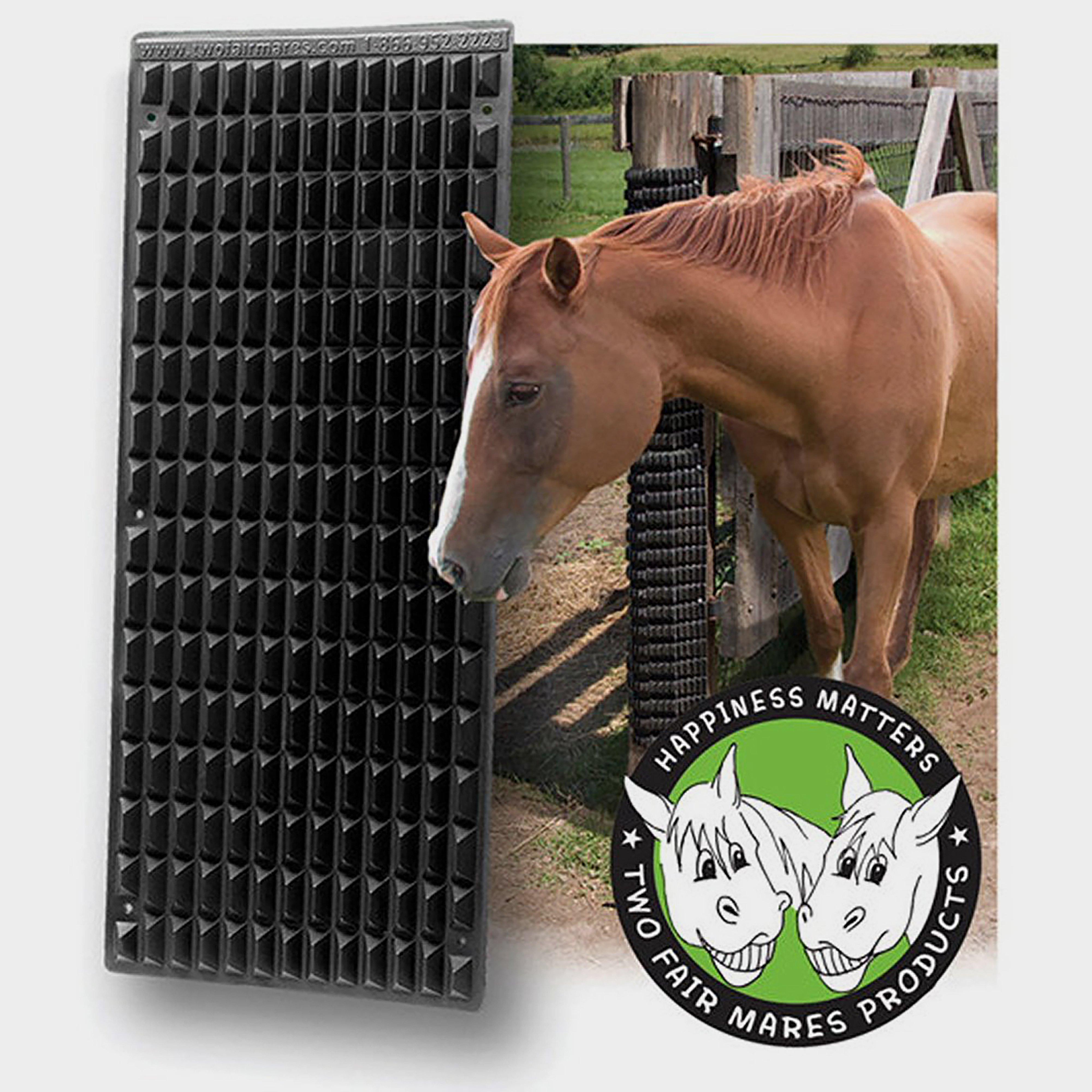 The Equine Scratcher