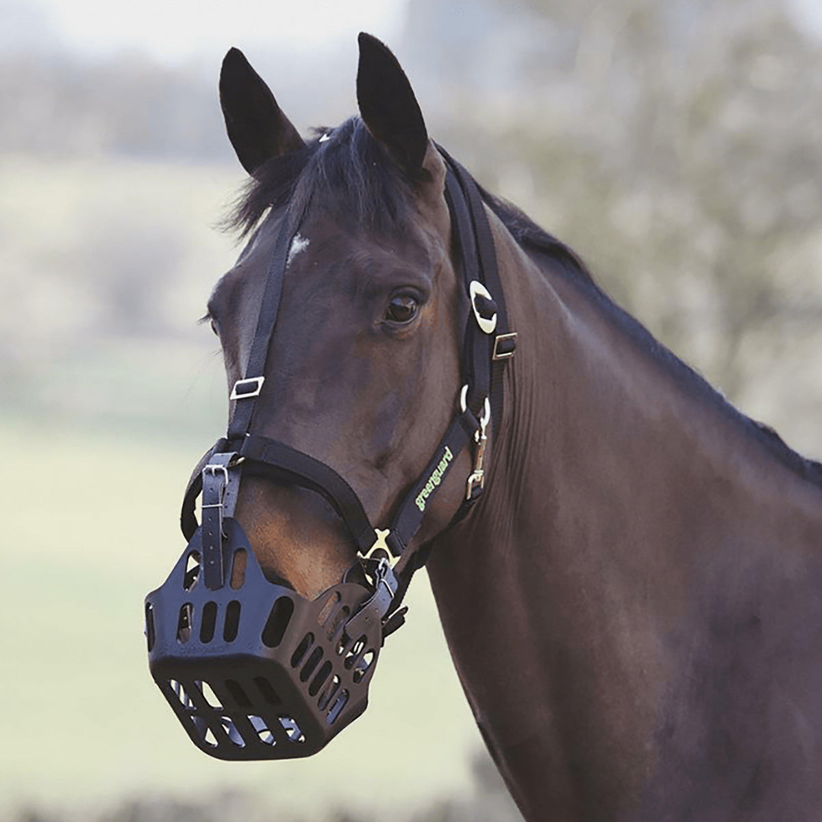 Grazing Muzzle Black