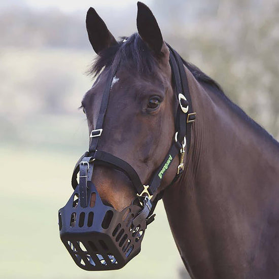 Headcollar Black