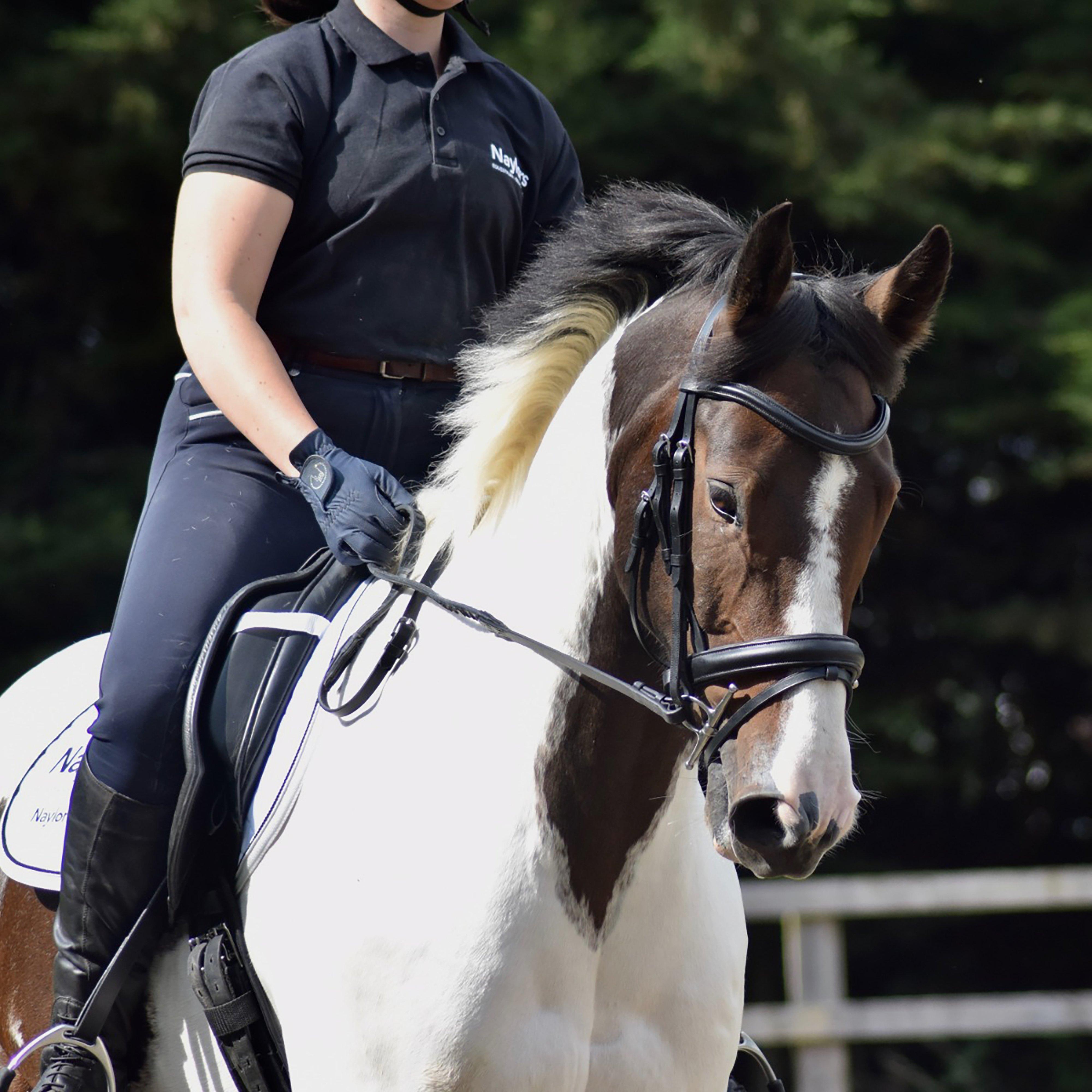 Dressage Flash Bridle Black