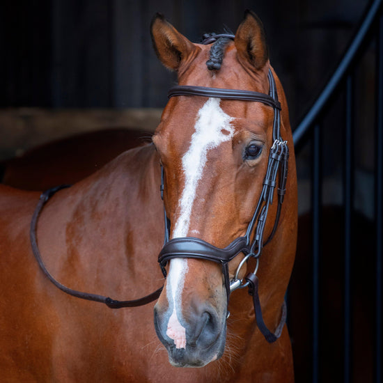Ergonomic Flash Bridle Havana