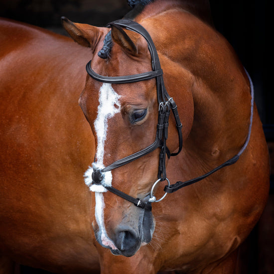 Velociti Rapida Grackle Bridle Black