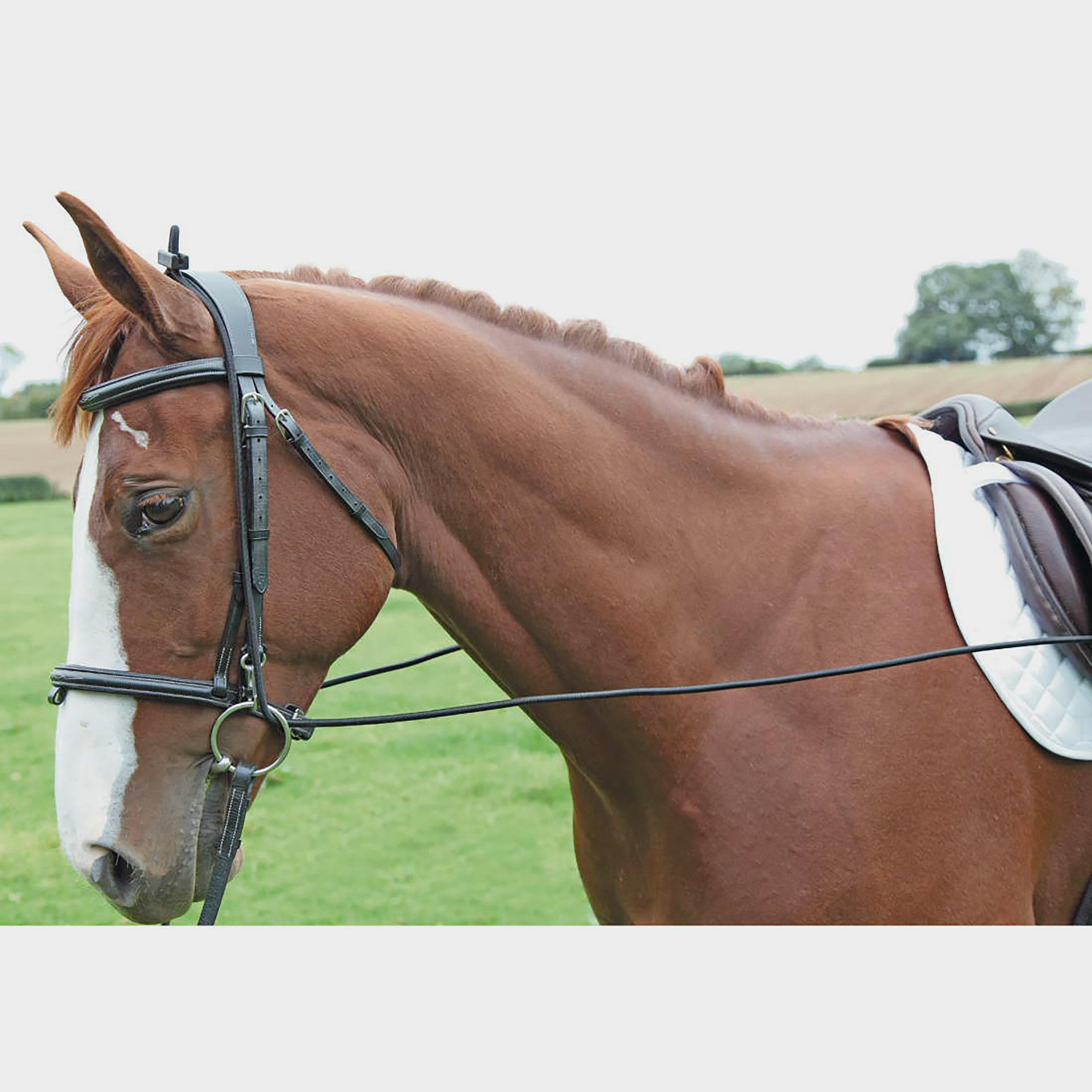 Elastic Training Reins Black