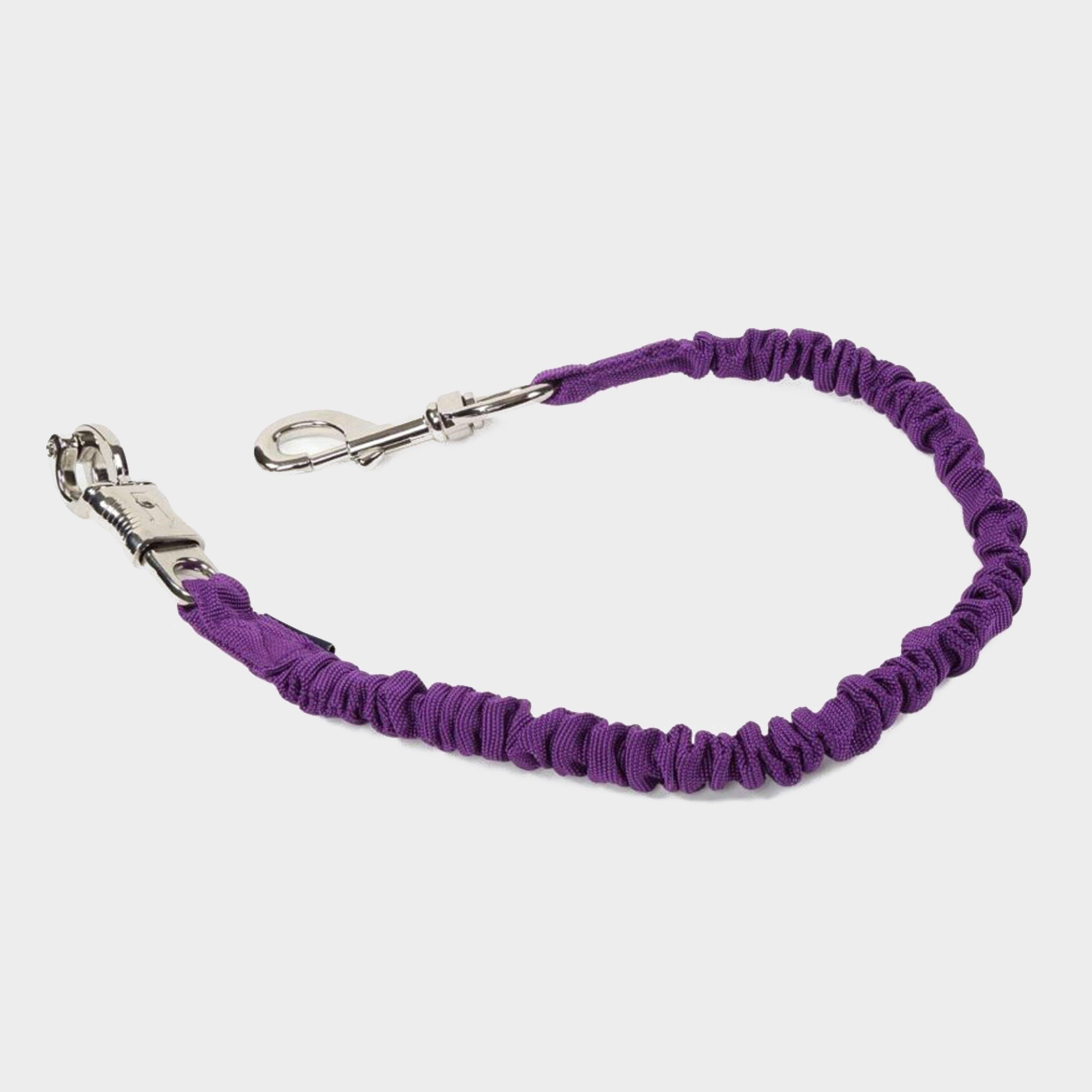 Webbing Elasticated Bungee Purple
