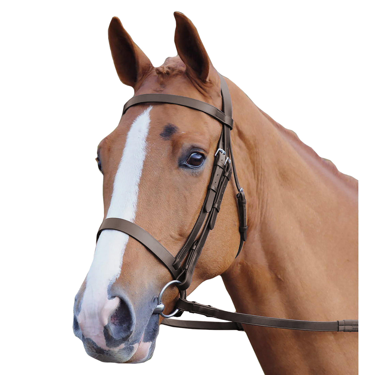 GARA Plain Bridle Havana
