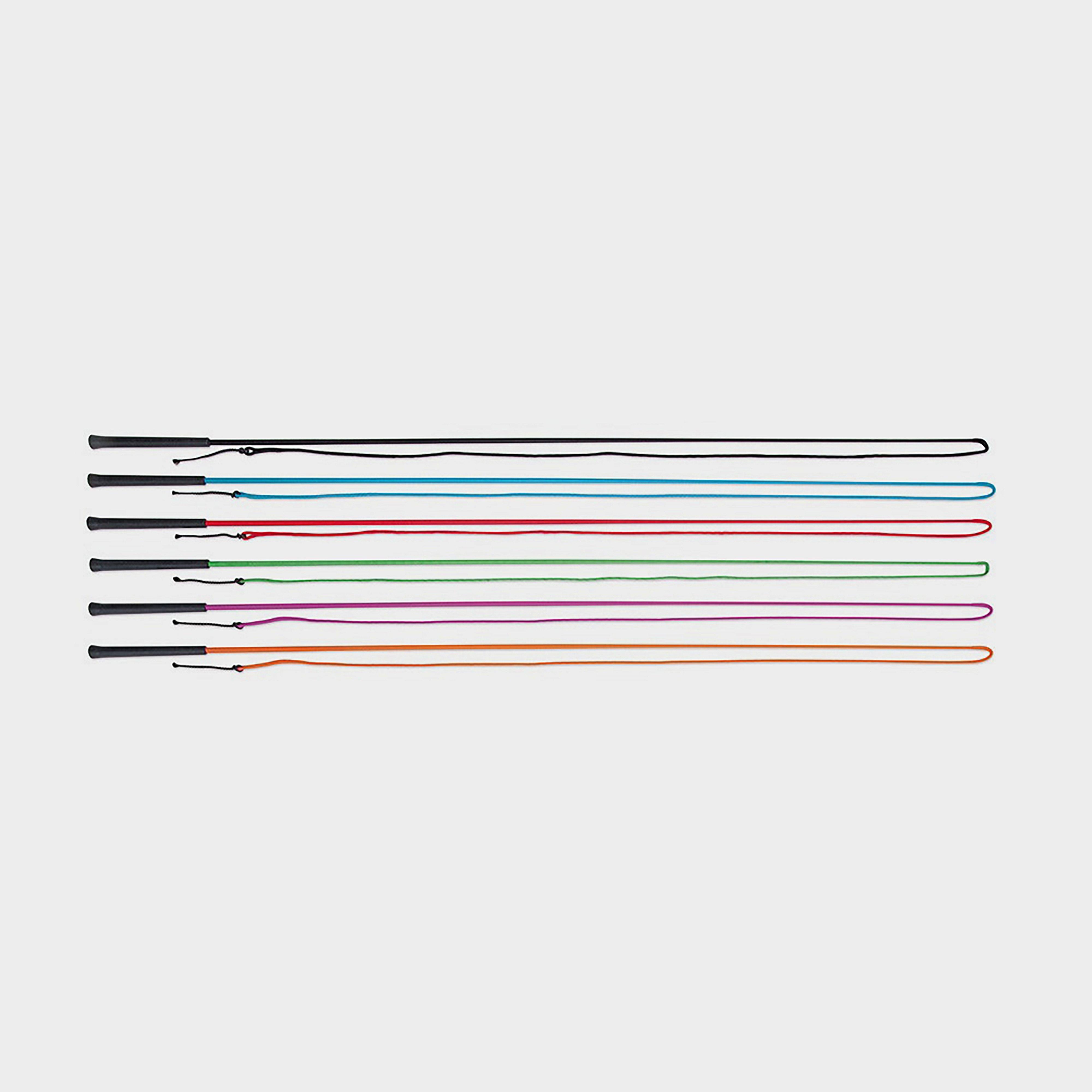 Lunging Whip Pink
