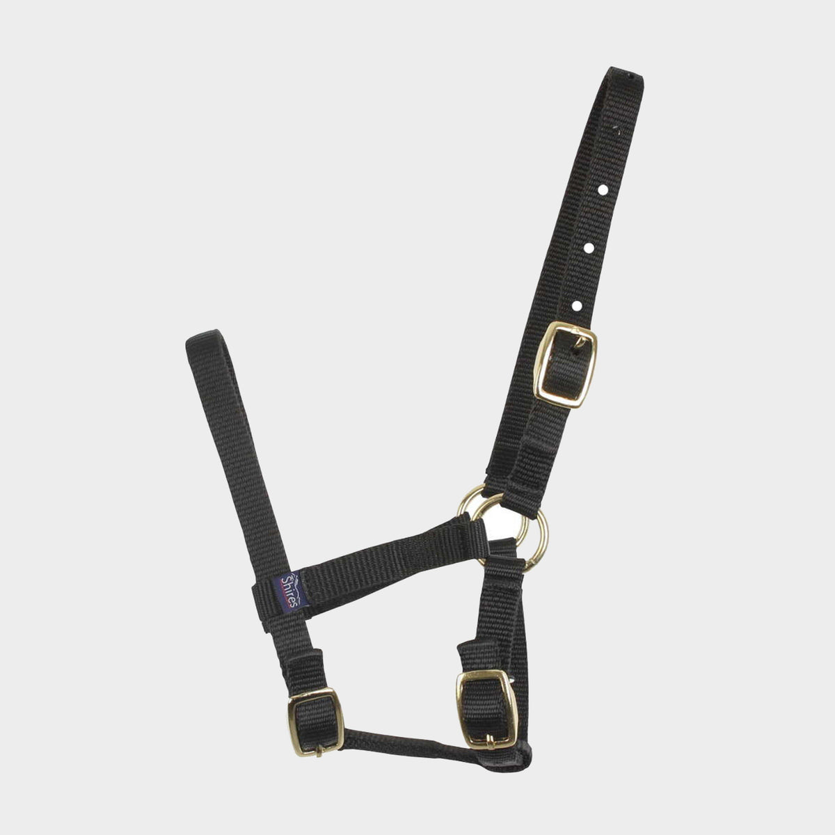 Foal Nylon Headcollar Black