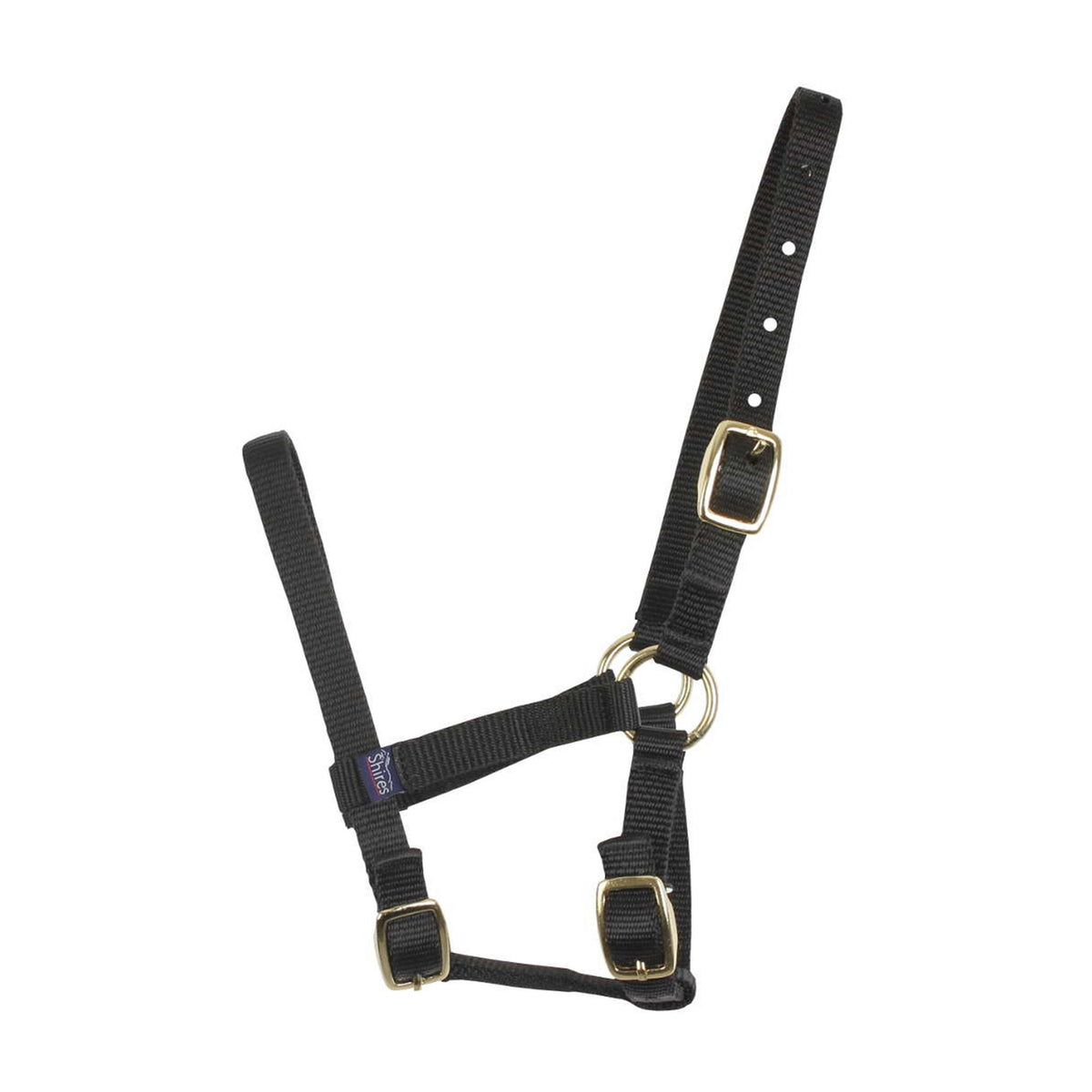 Foal Nylon Headcollar Black