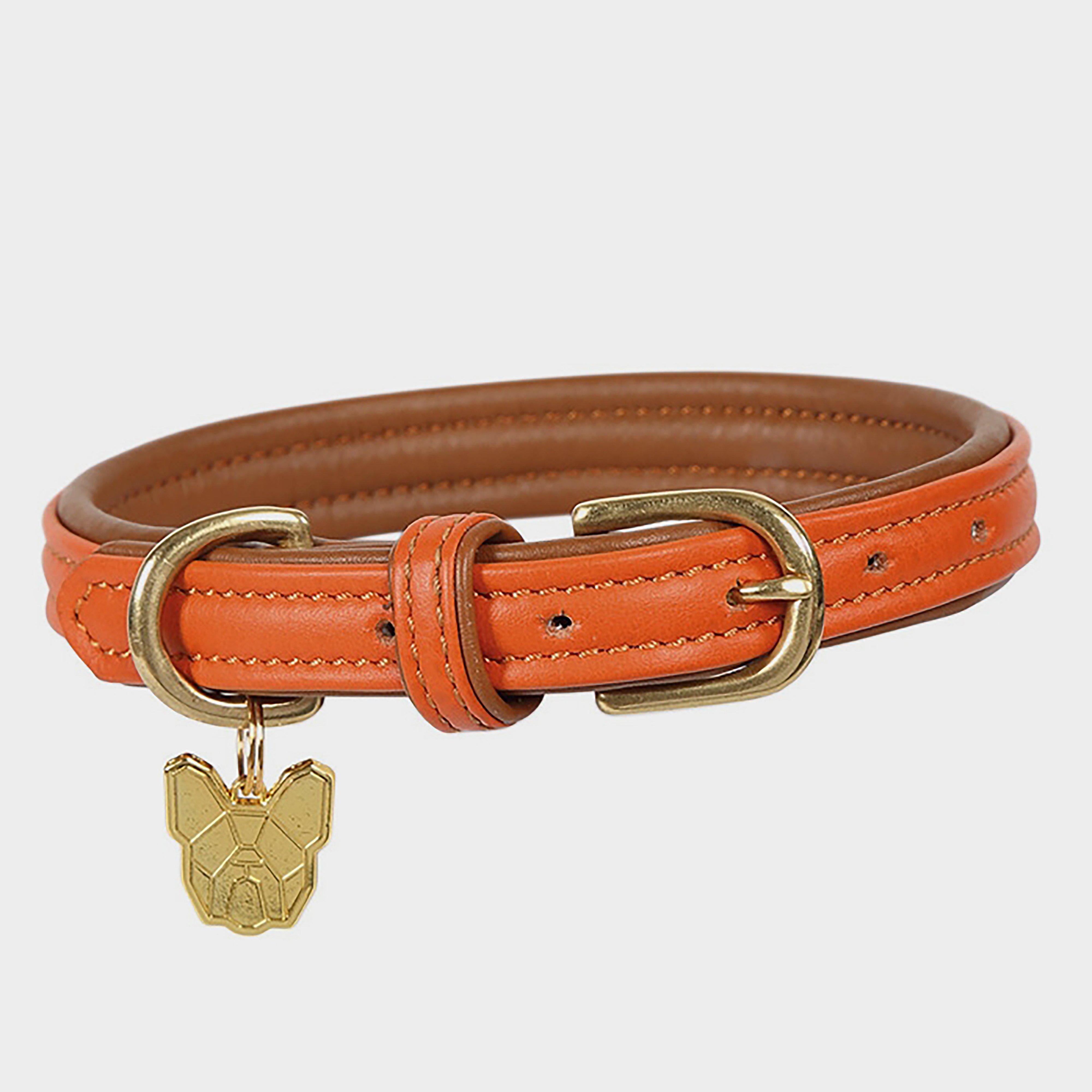 Padded Leather Dog Collar Orange