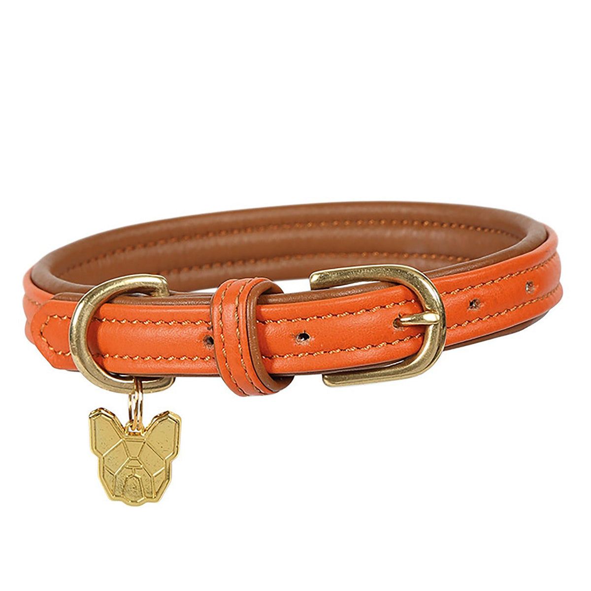 Padded Leather Dog Collar Orange