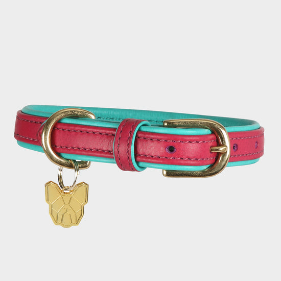 Padded Leather Dog Collar Pink