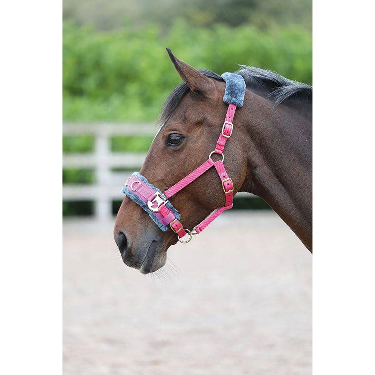 Fleece Lined Lunge Cavesson Pink