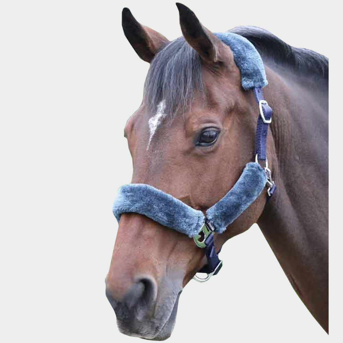 Fleece Lined Headcollar Navy/Grey