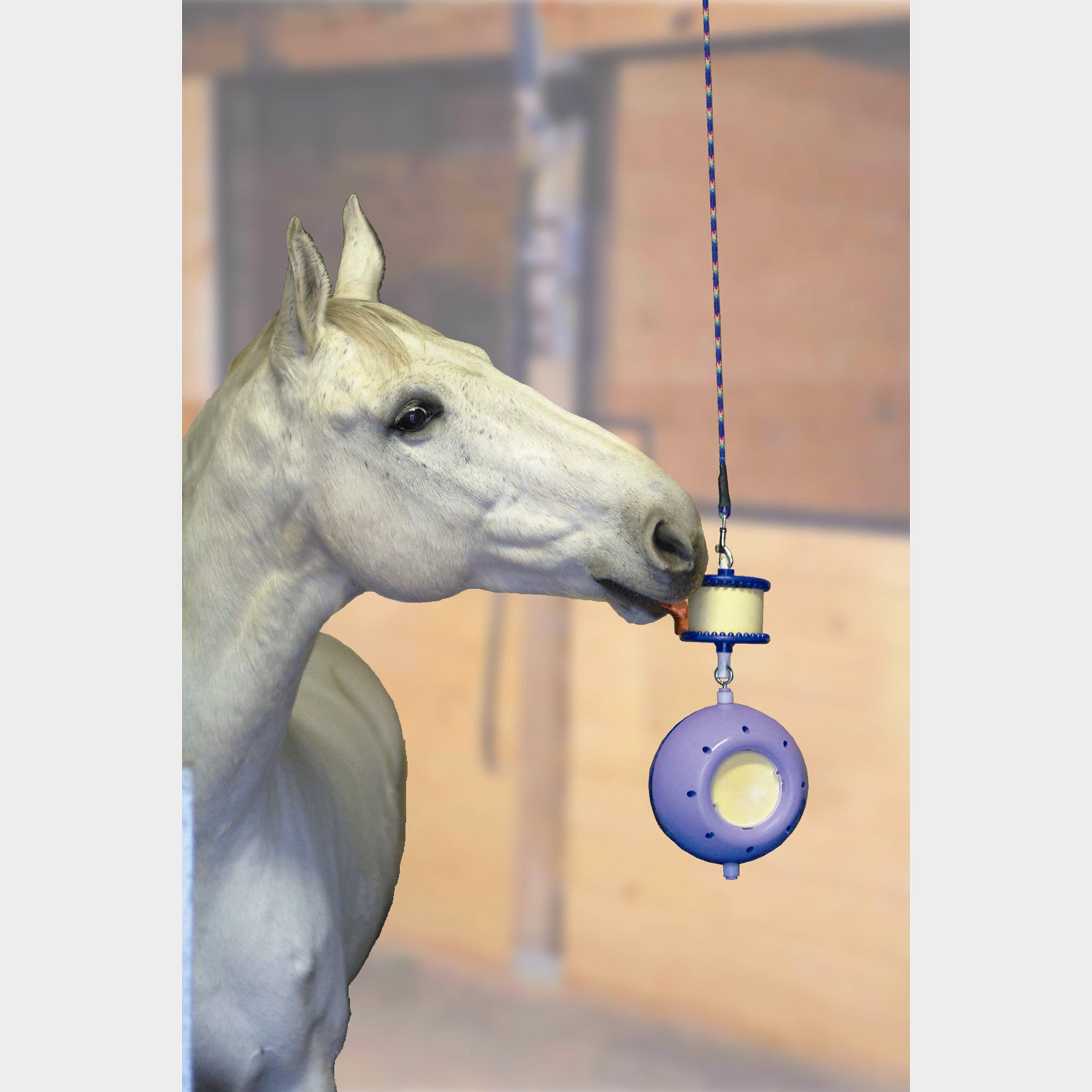 Boredom Breaker Purple