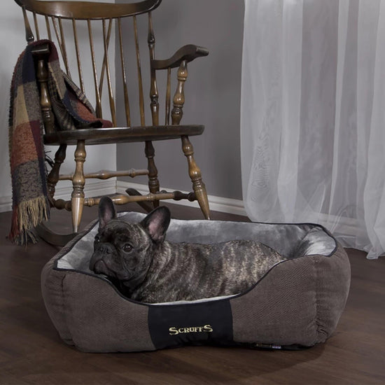 Chester Box Bed Graphite