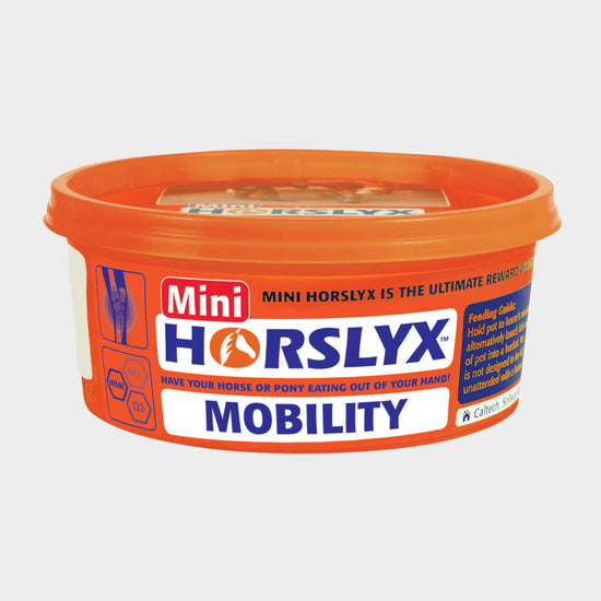 Mini Mobility 650g