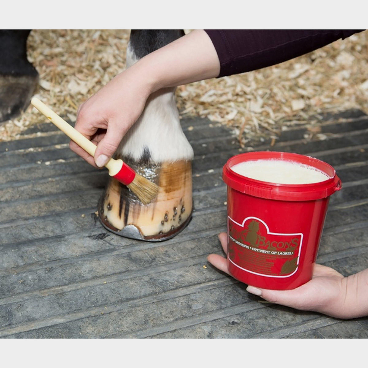 Original Hoof Dressing