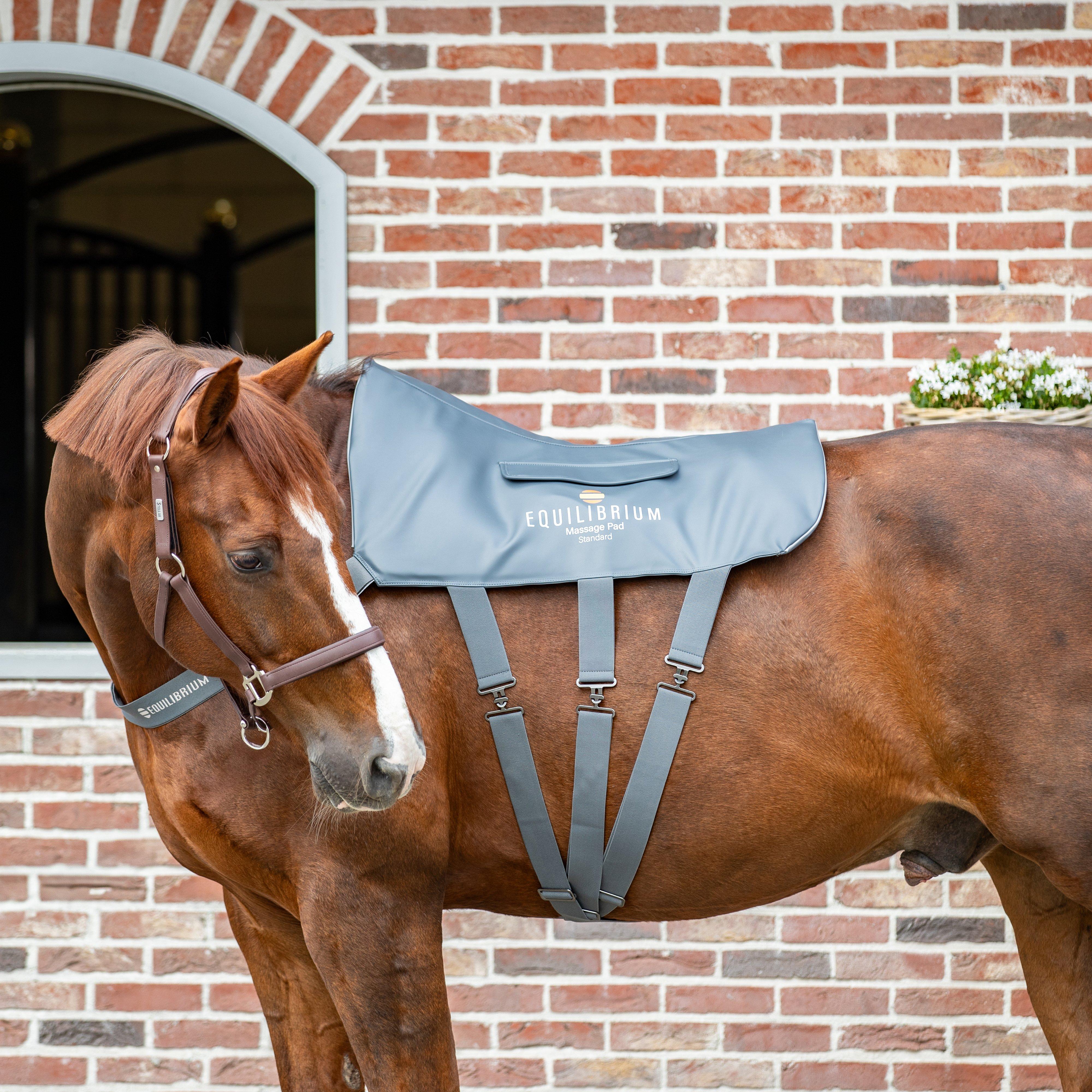 Massage Pad