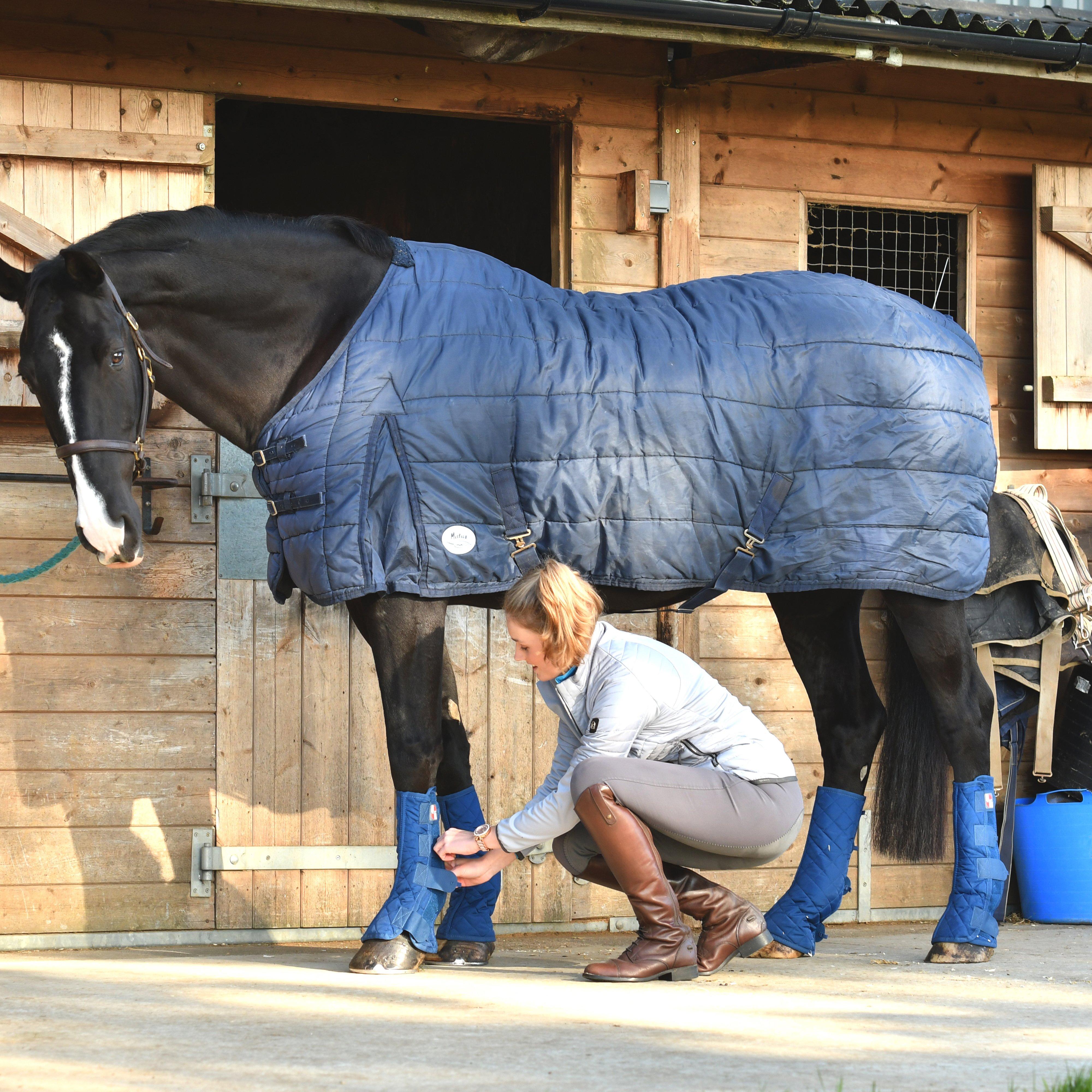 Equi-Chaps Stable Chaps Navy
