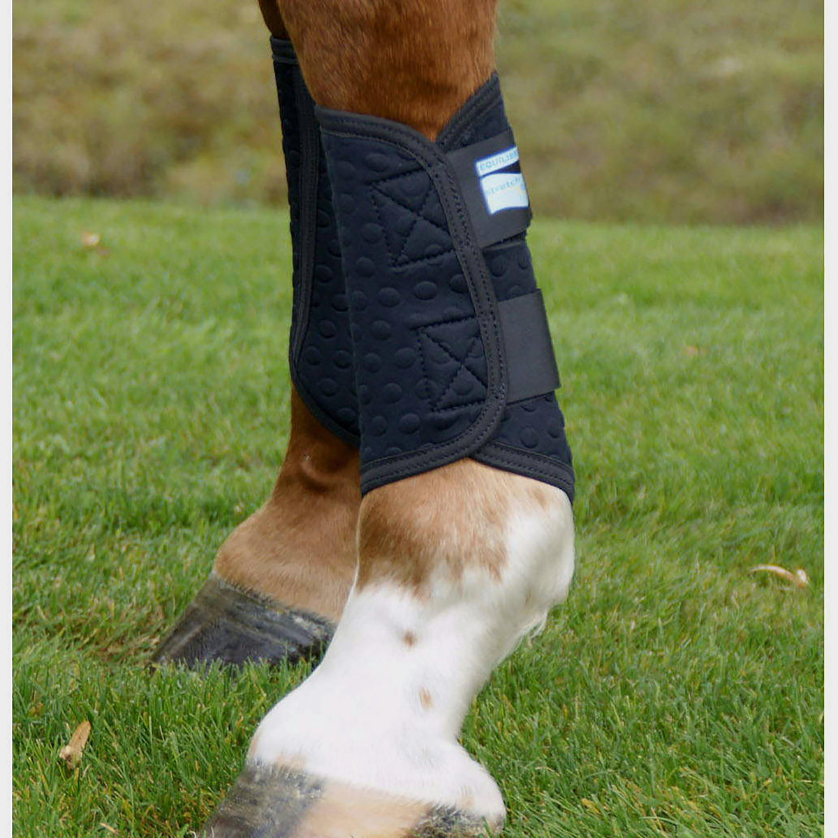 Stretch & Flex Flatwork Wrap Black