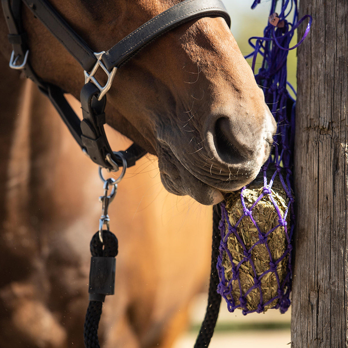 Vitamunch Marvellous Meadowâ„¢