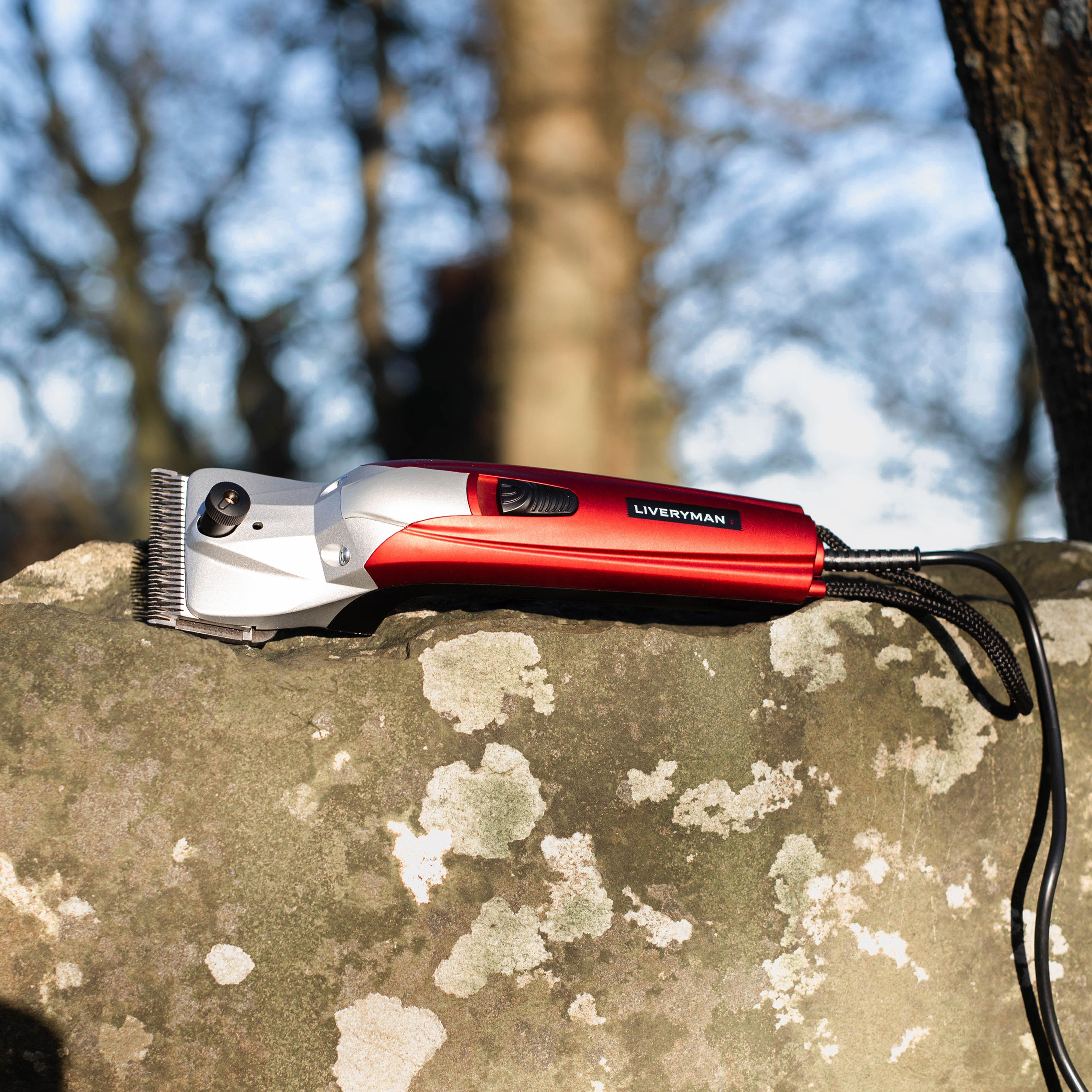 Black Beauty Clipper
