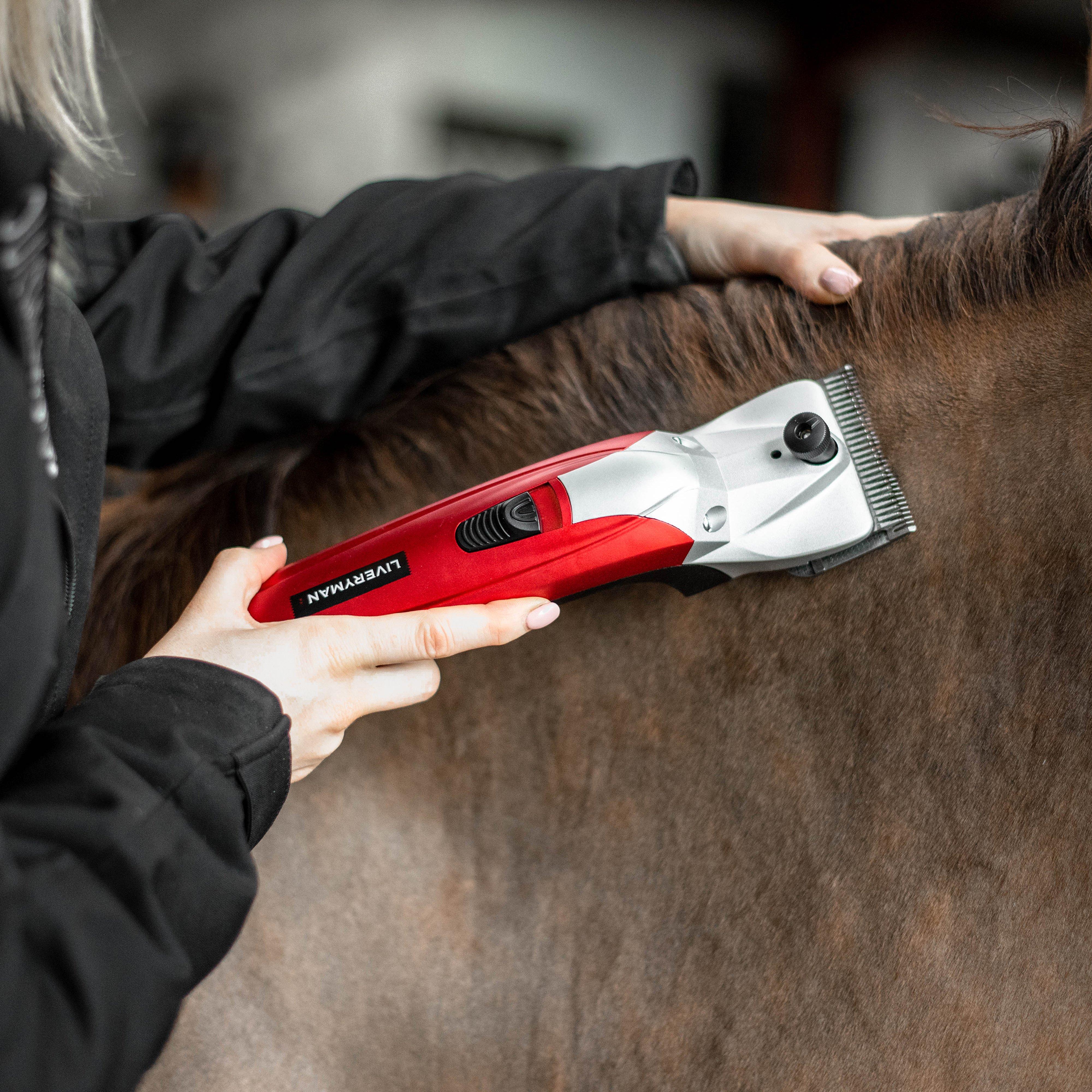 Black Beauty Clipper