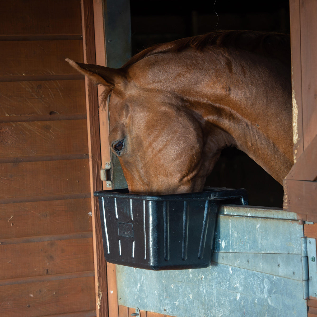 Hanging Portable Manger Black