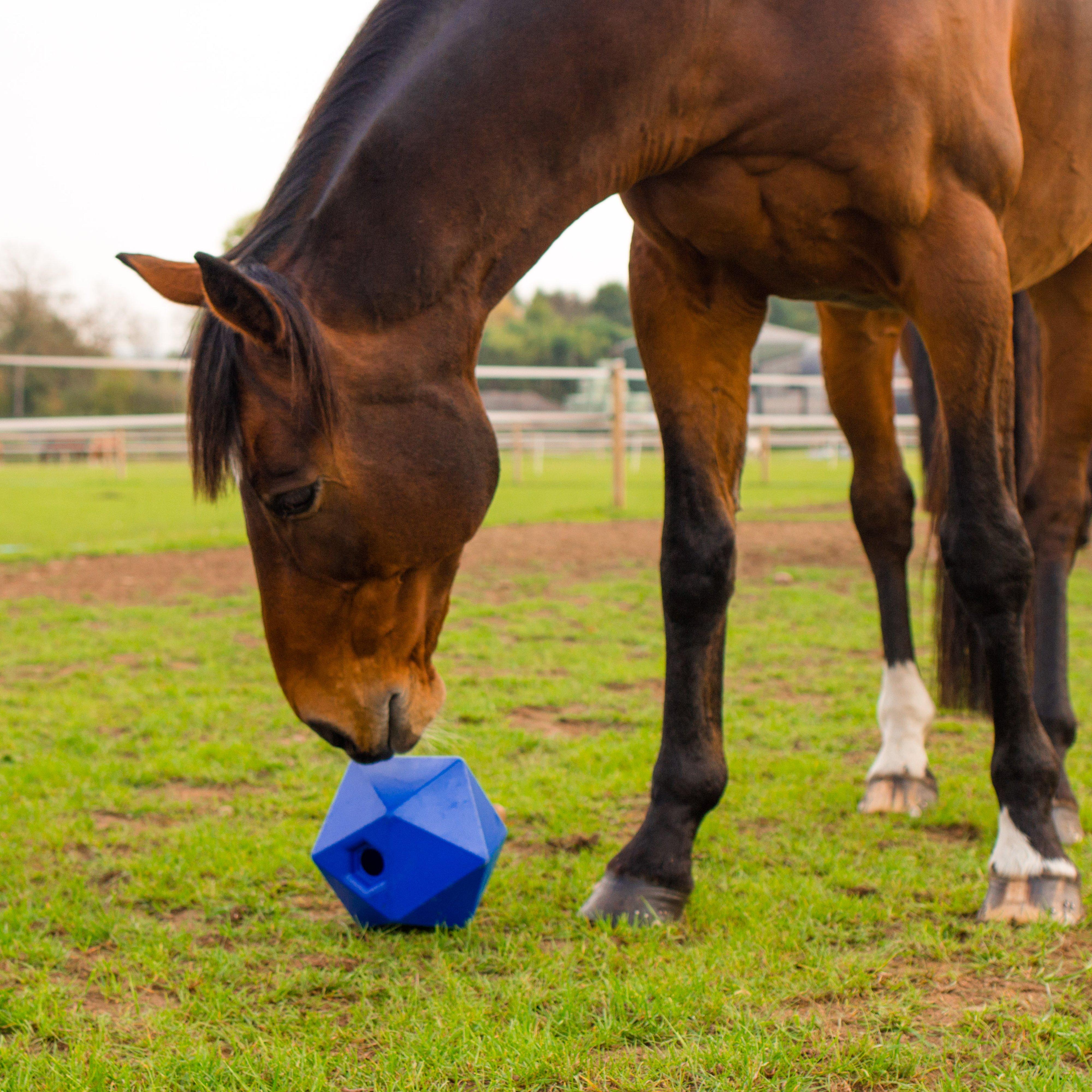 Drip Feed Treat Ball Blue