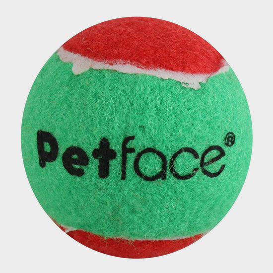 Squeaky Tennis Ball Assorted