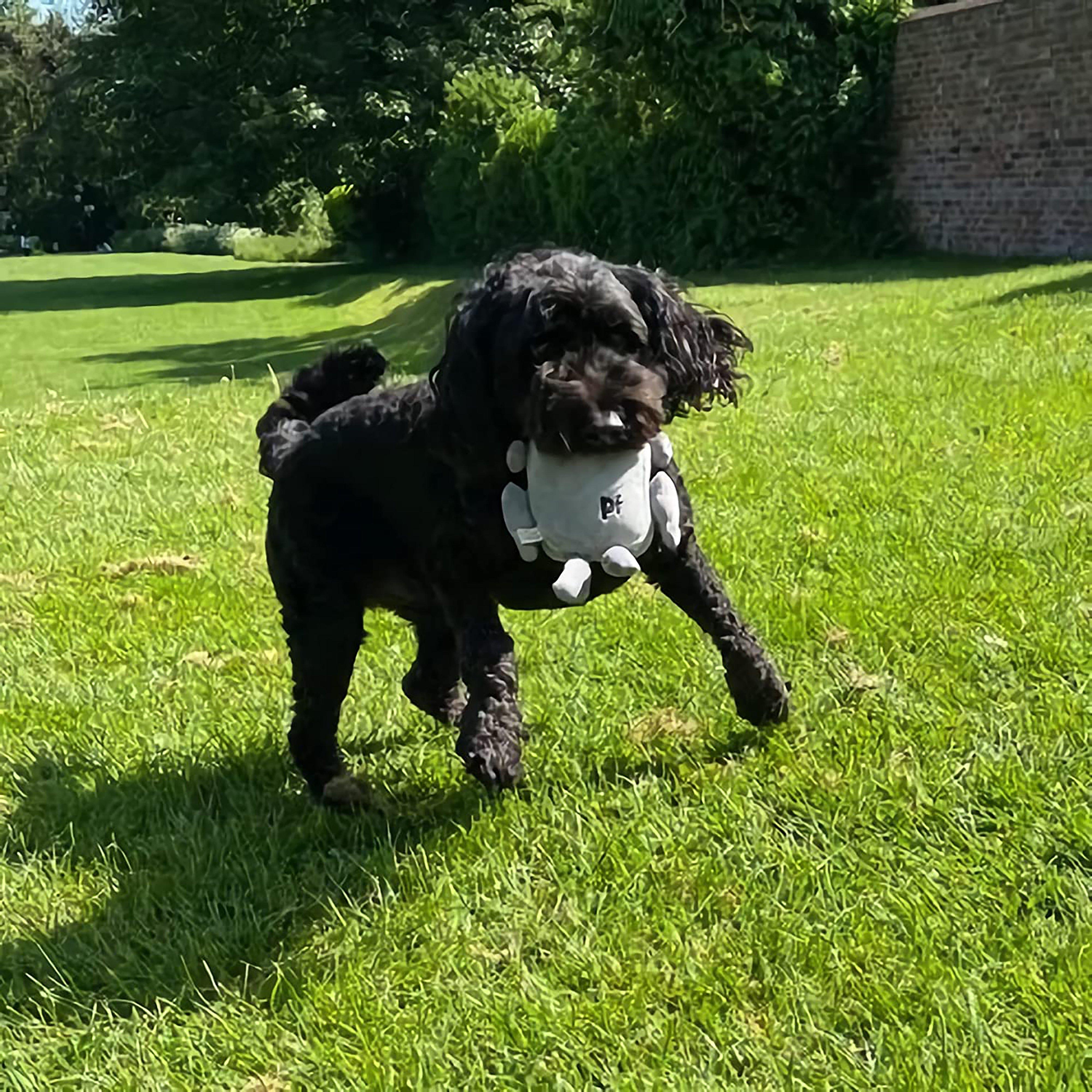 Seriously Strong Robot Toy