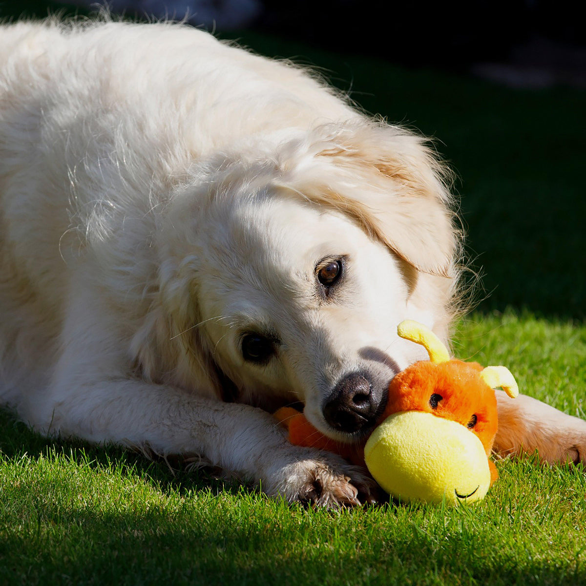 Buddies Cody Caterpillar Plush Dog Toy