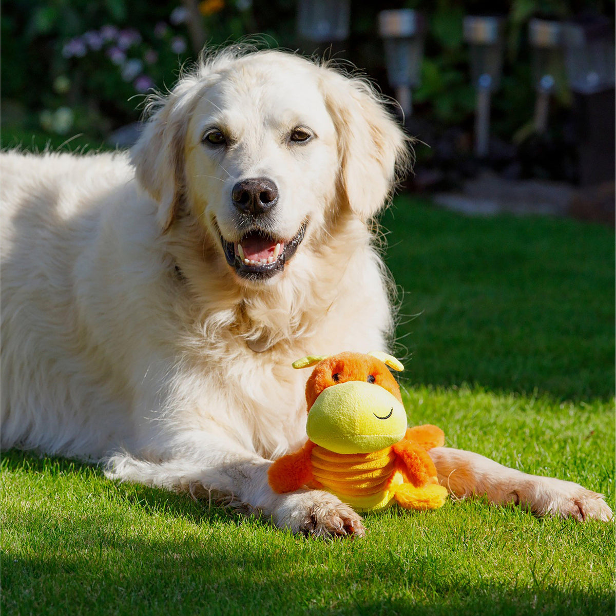 Buddies Cody Caterpillar Plush Dog Toy