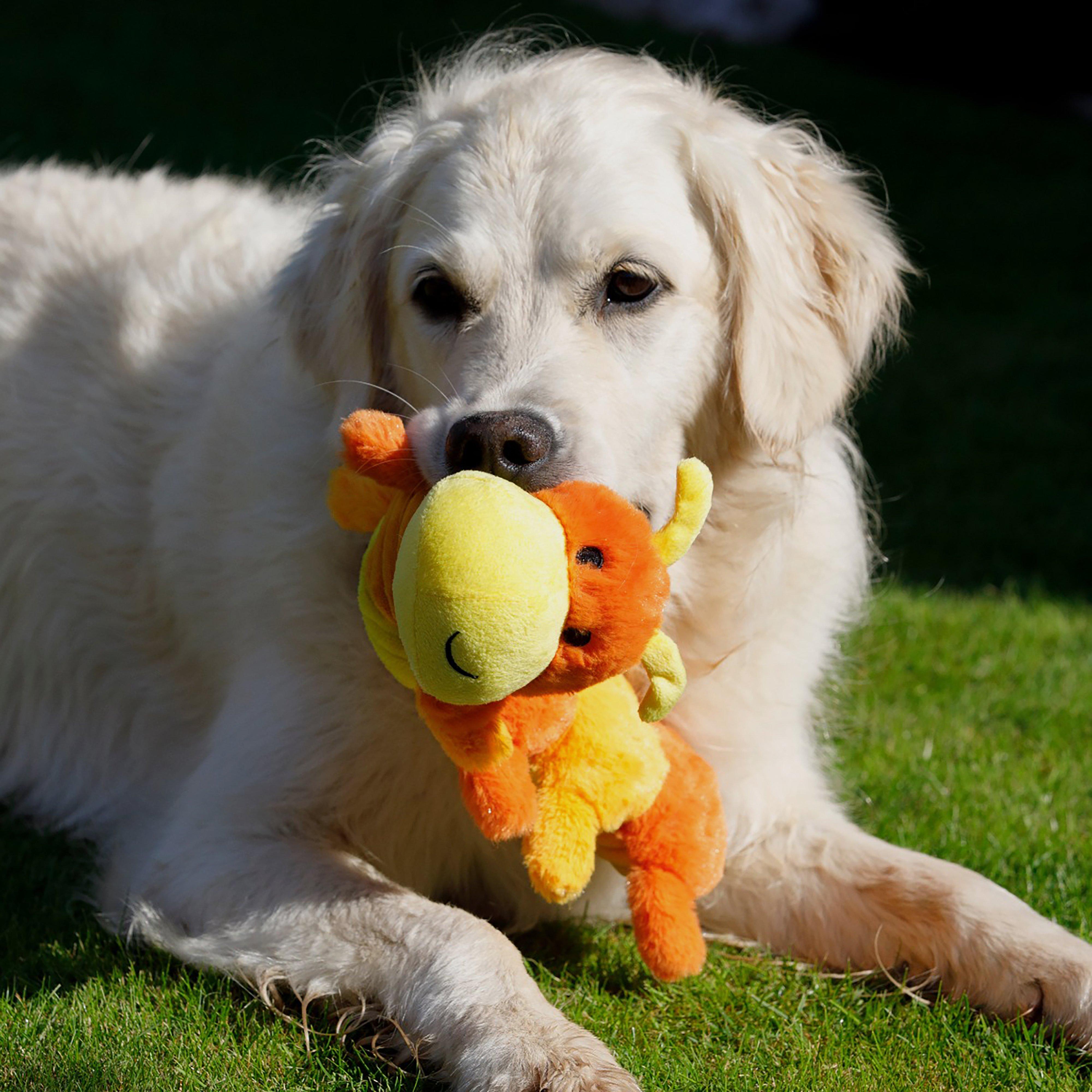 Buddies Cody Caterpillar Plush Dog Toy