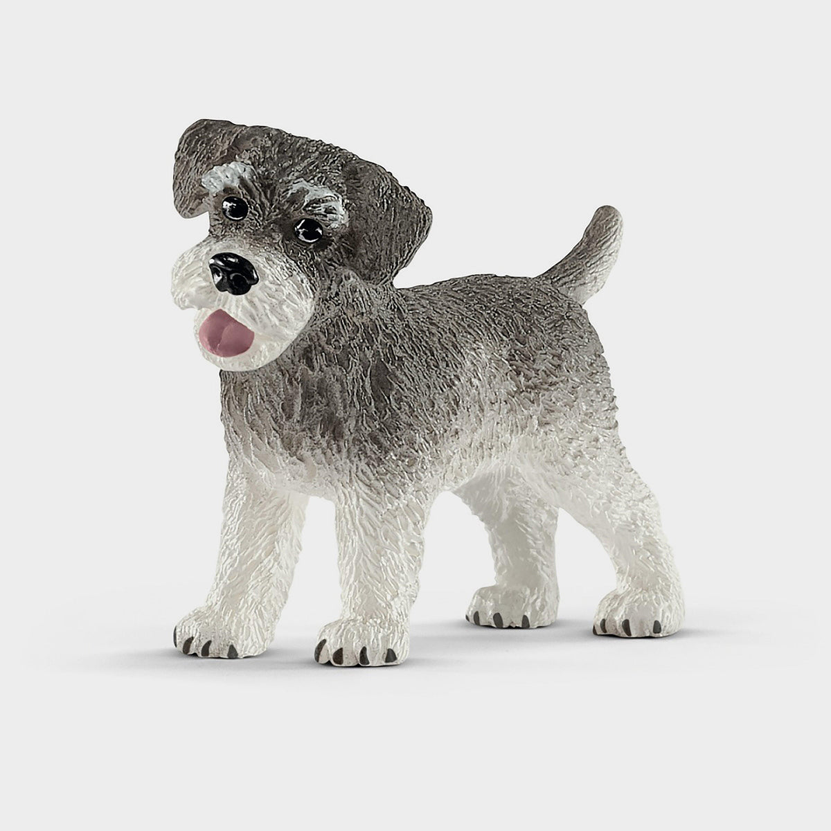 Miniature Schnauzer