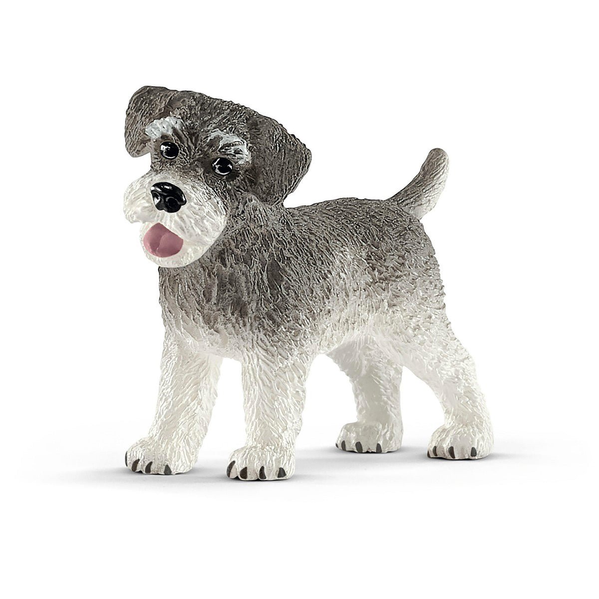 Miniature Schnauzer