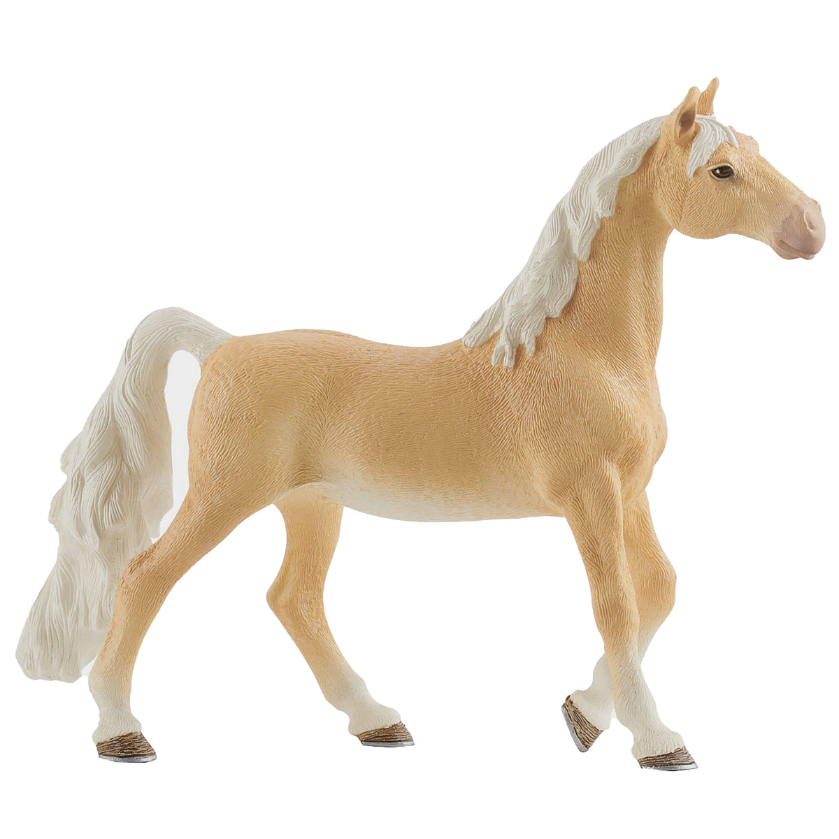 American Saddlebred Mare