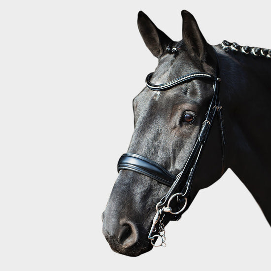 Milan Double Bridle Black