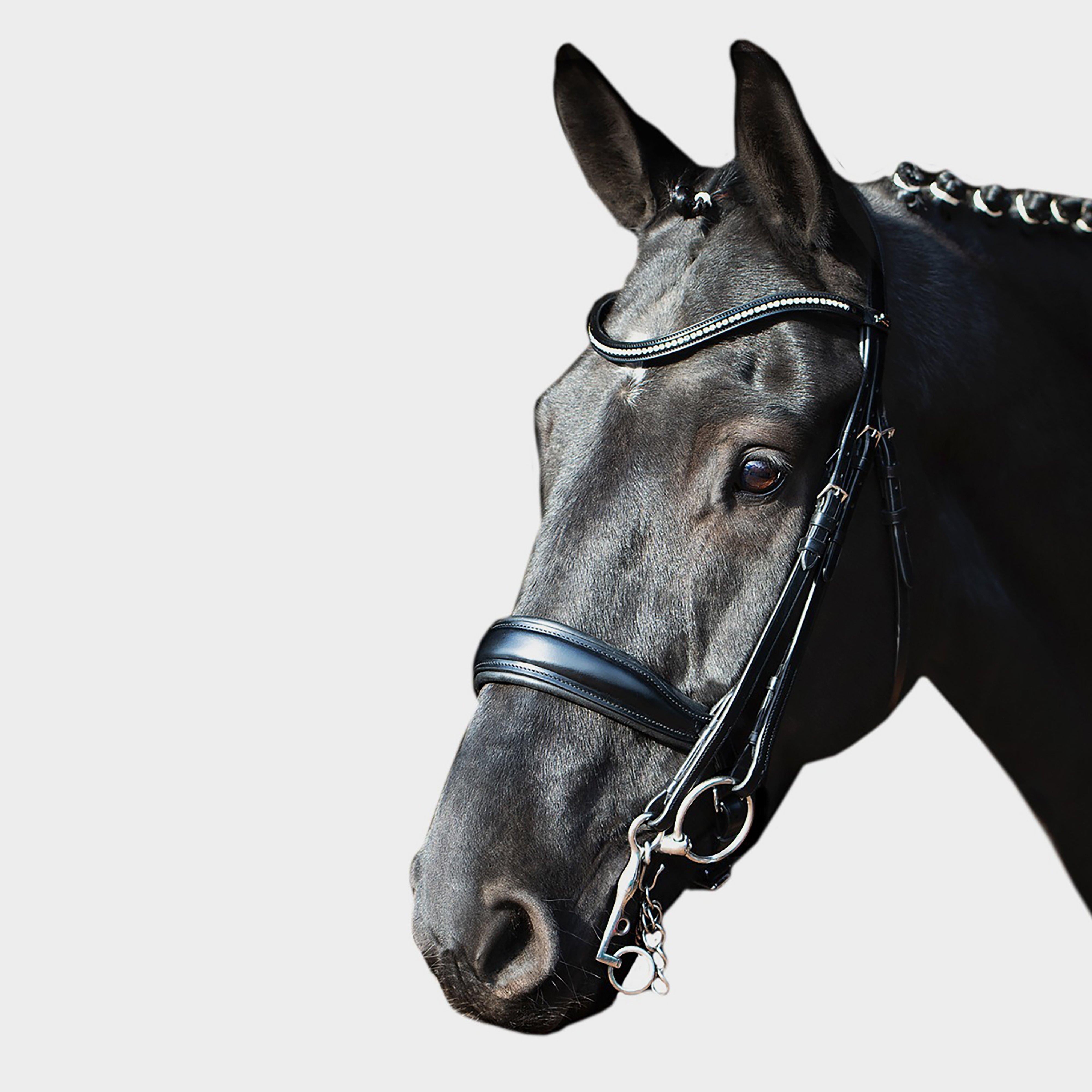 Milan Double Bridle Black
