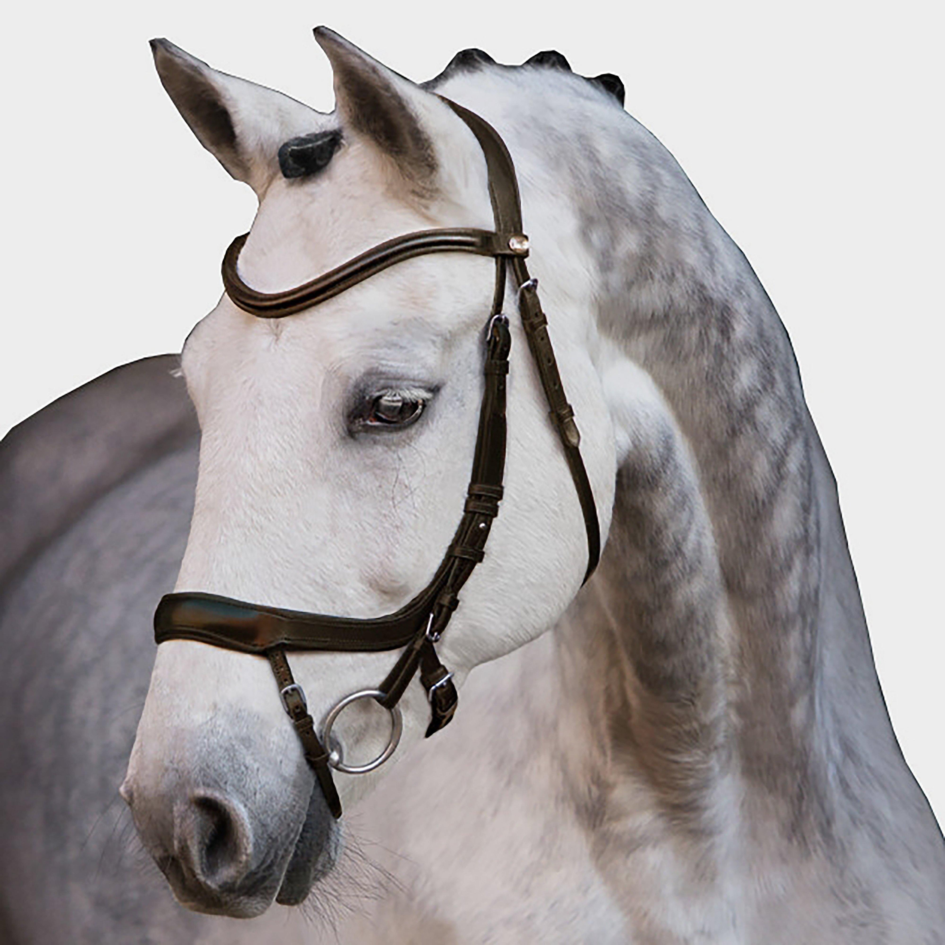 Equitus Alpha Bridle Espresso