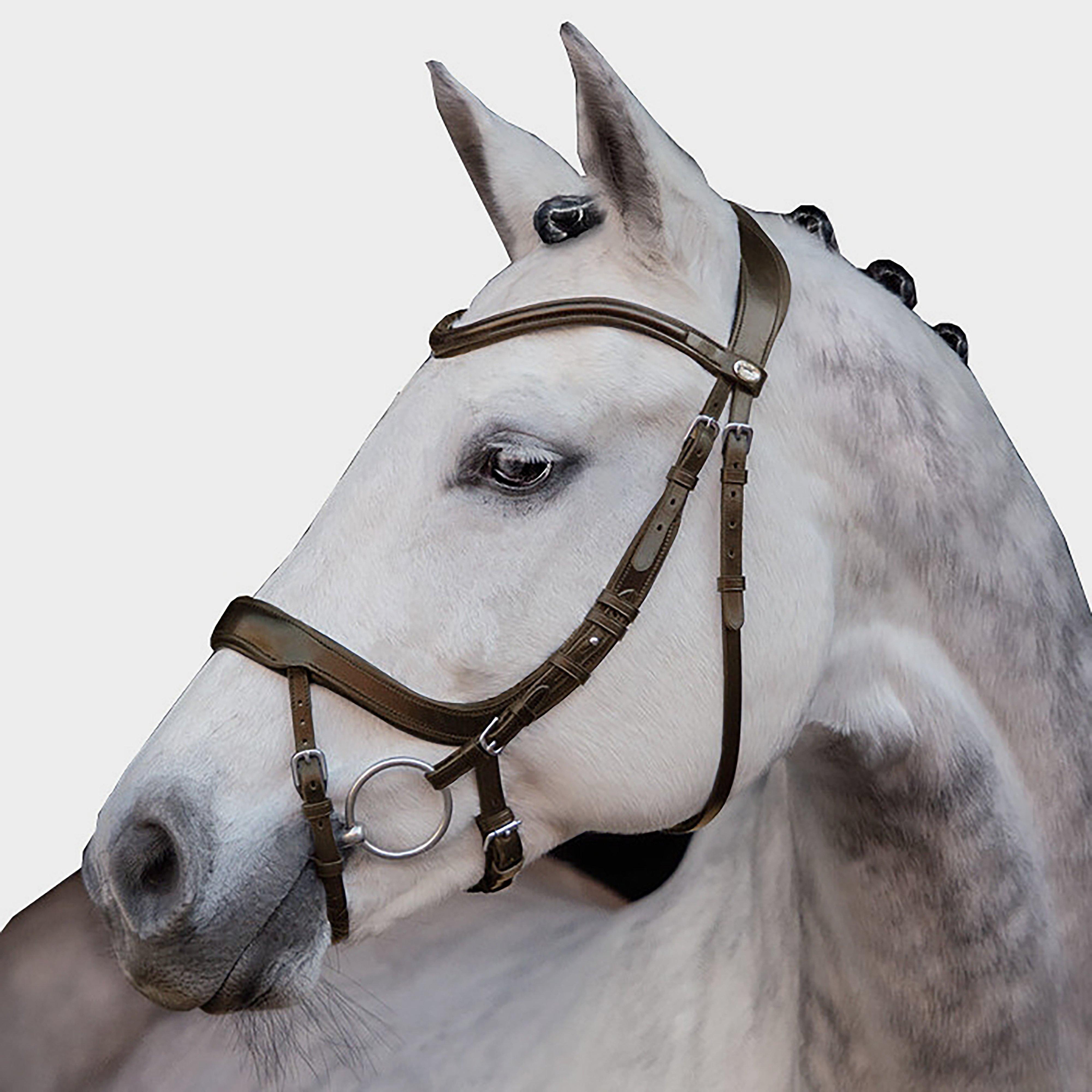 Equitus Alpha Bridle Espresso