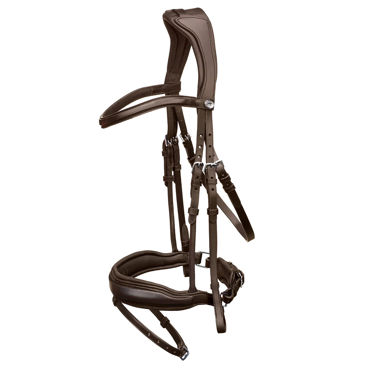 Stanford Flash Bridle Espresso