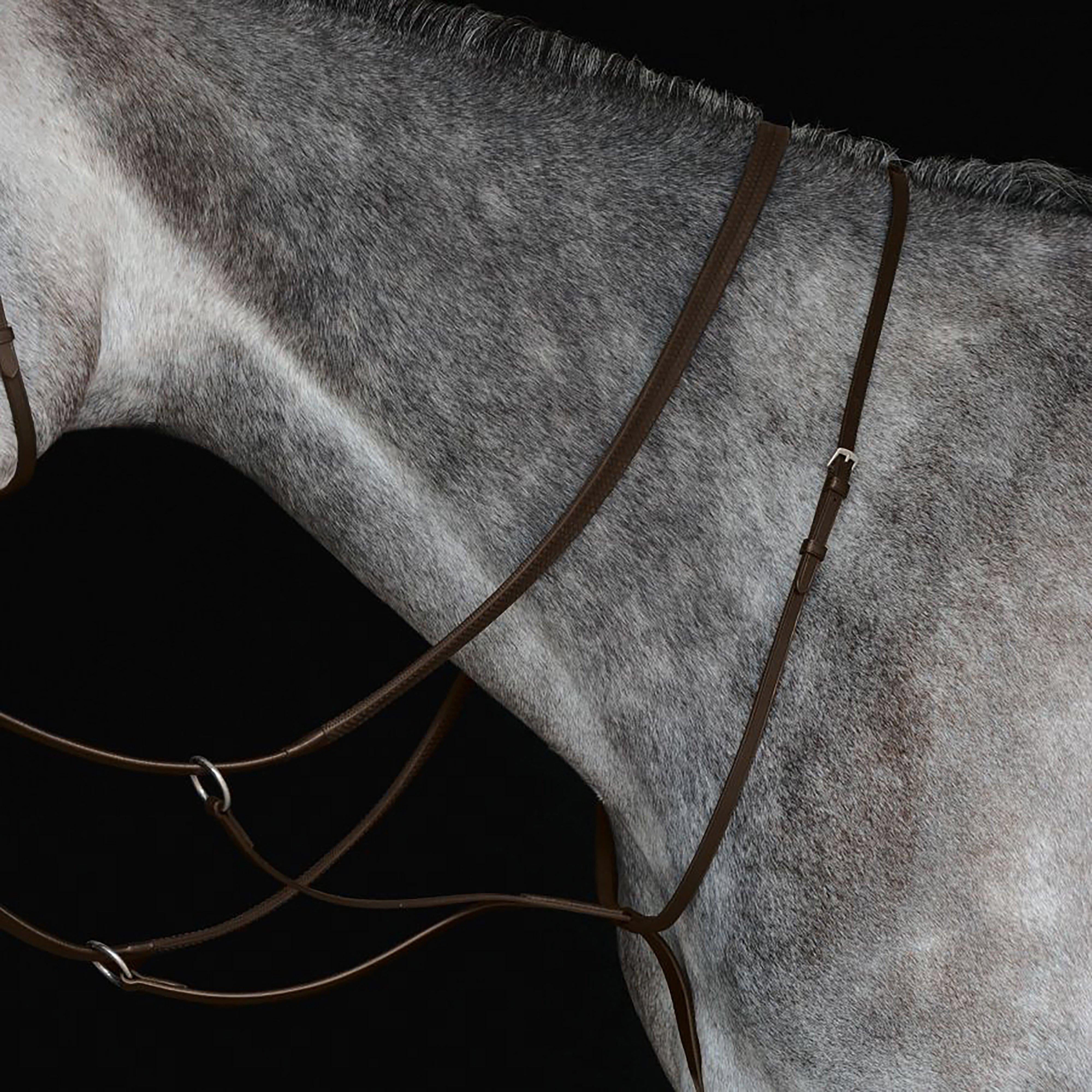 Running Martingale Brown