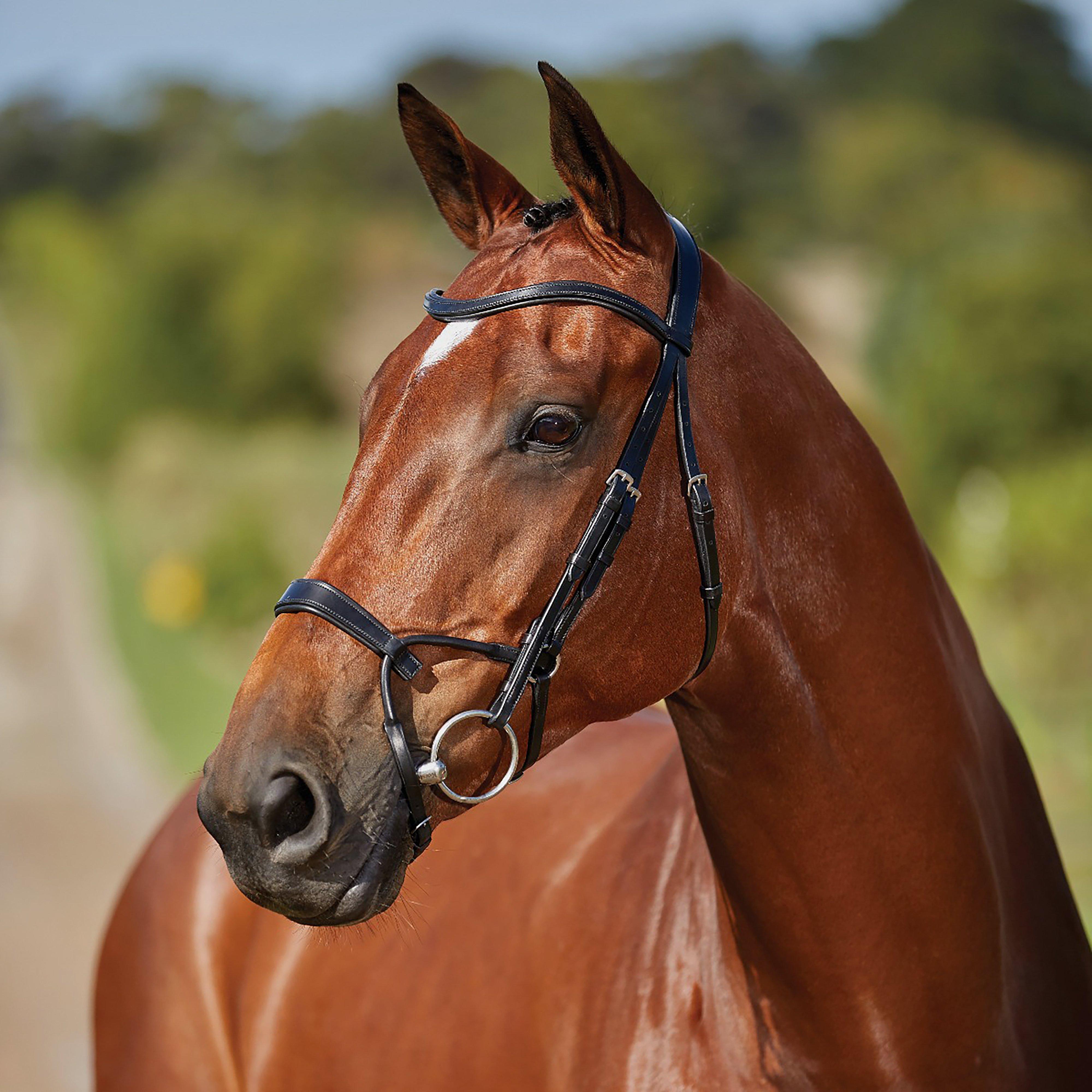 ComFiTec Training Bridle Black
