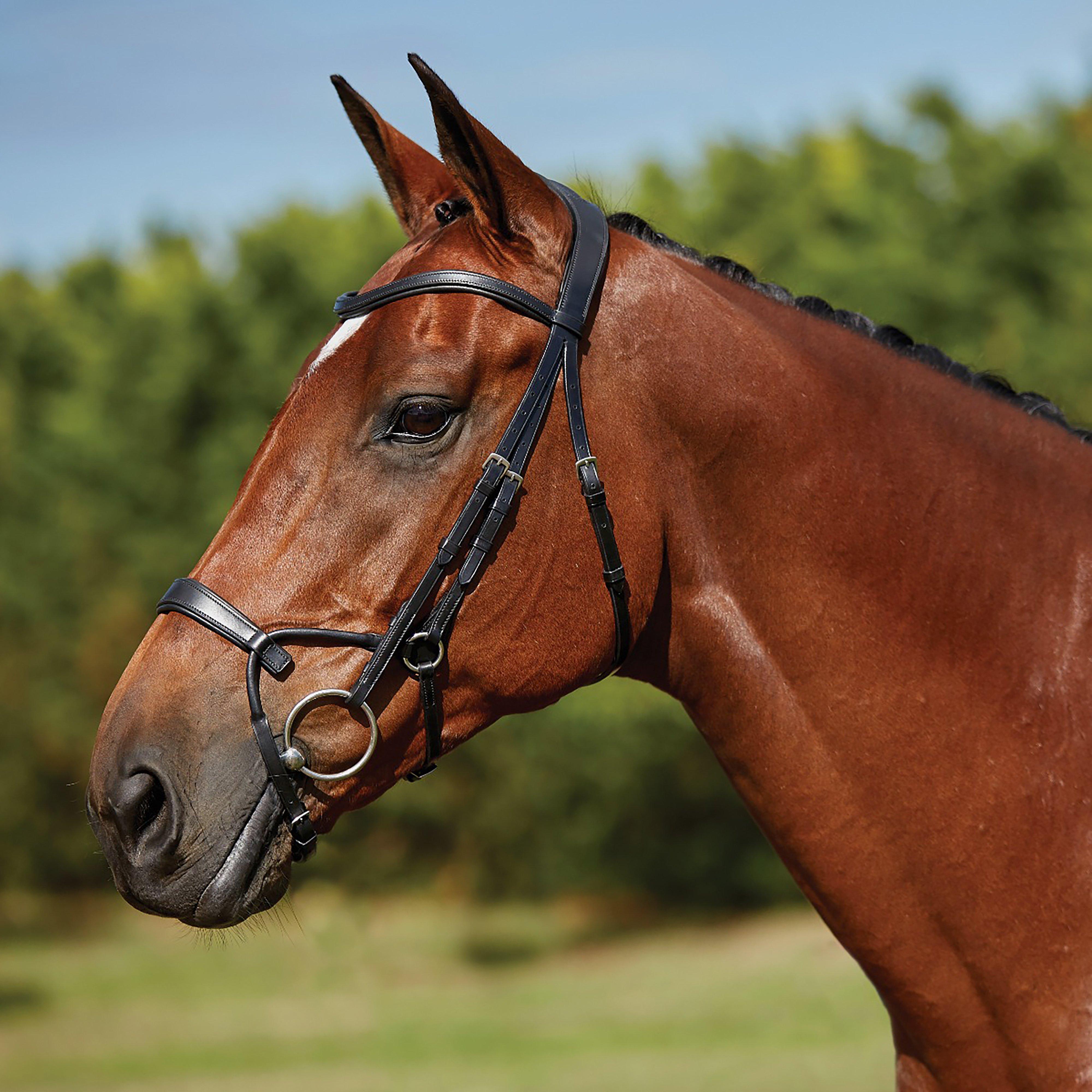 ComFiTec Training Bridle Black
